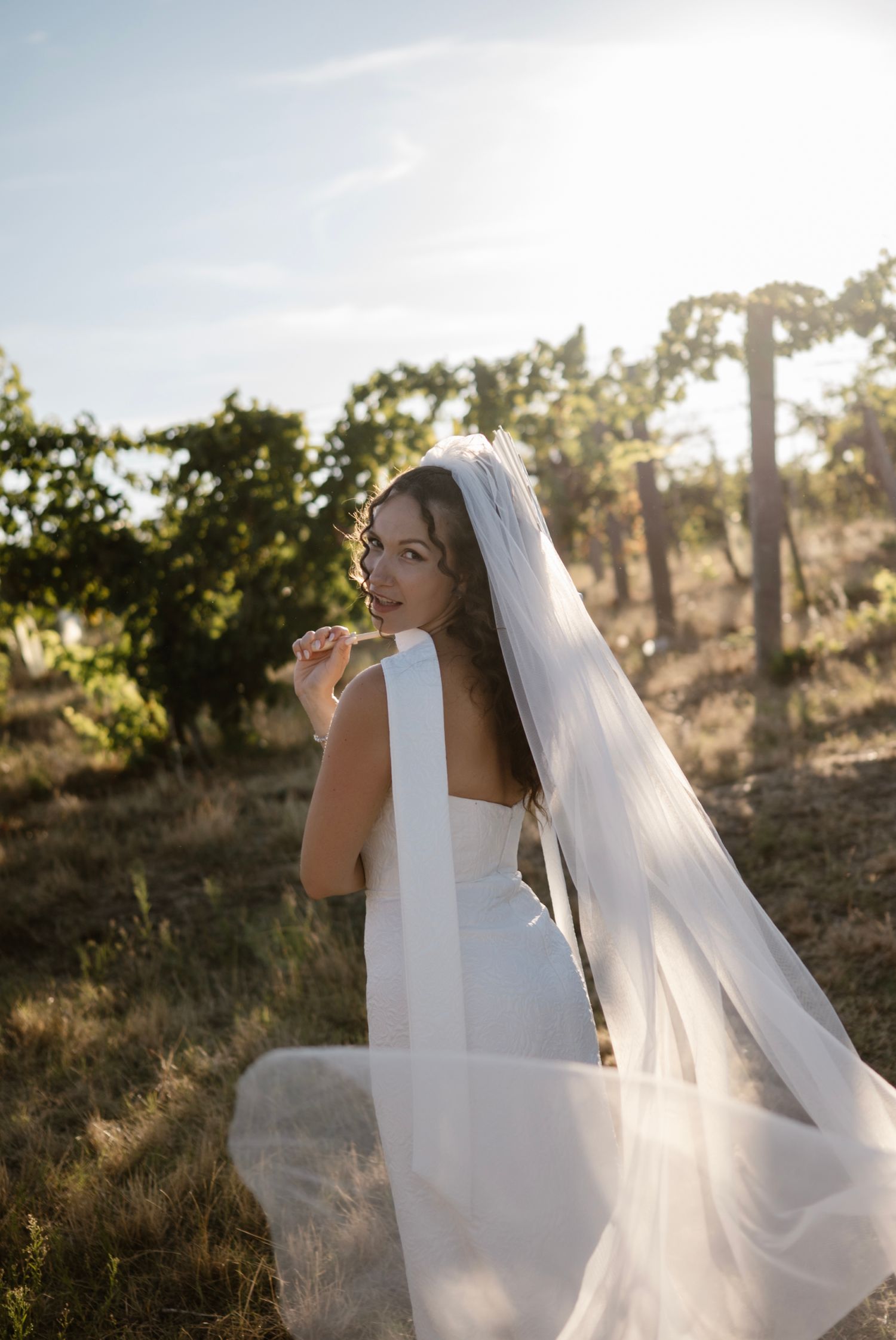 Bride in white gown and flowing veil poses in sun-drenched vineyard landscape.