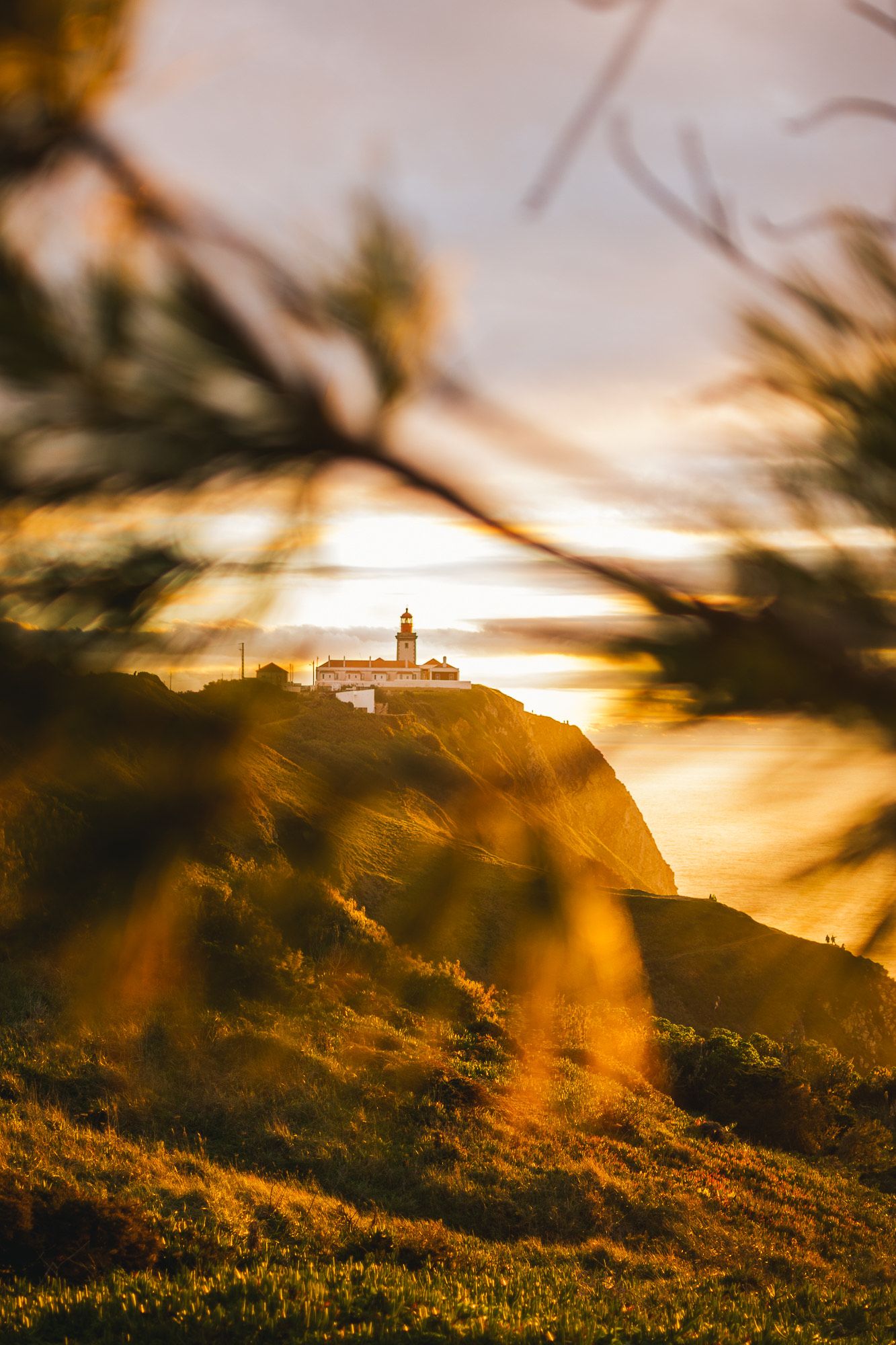 Lighthouse perched on a coastal cliff silhouetted against a golden sunset with branches in foreground.
