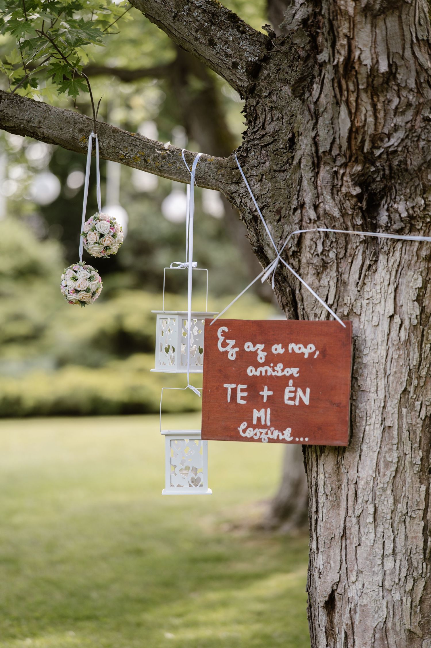 Wooden signs with text hanging from tree branches in an outdoor setting.
