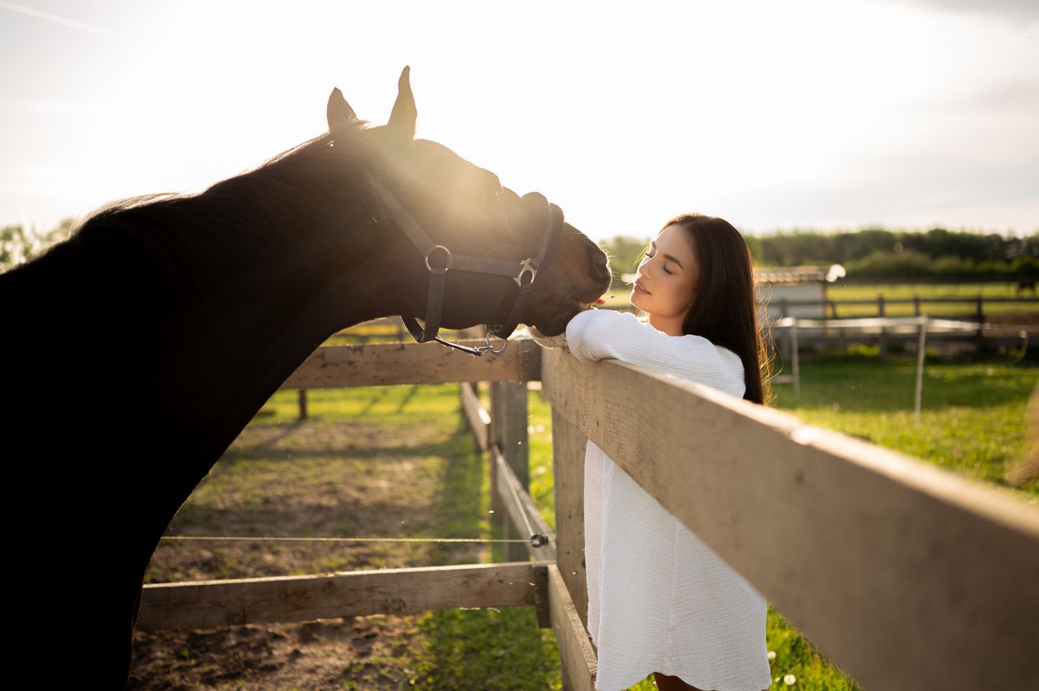 Silhouetted horse and person against sunset sky in countryside setting.