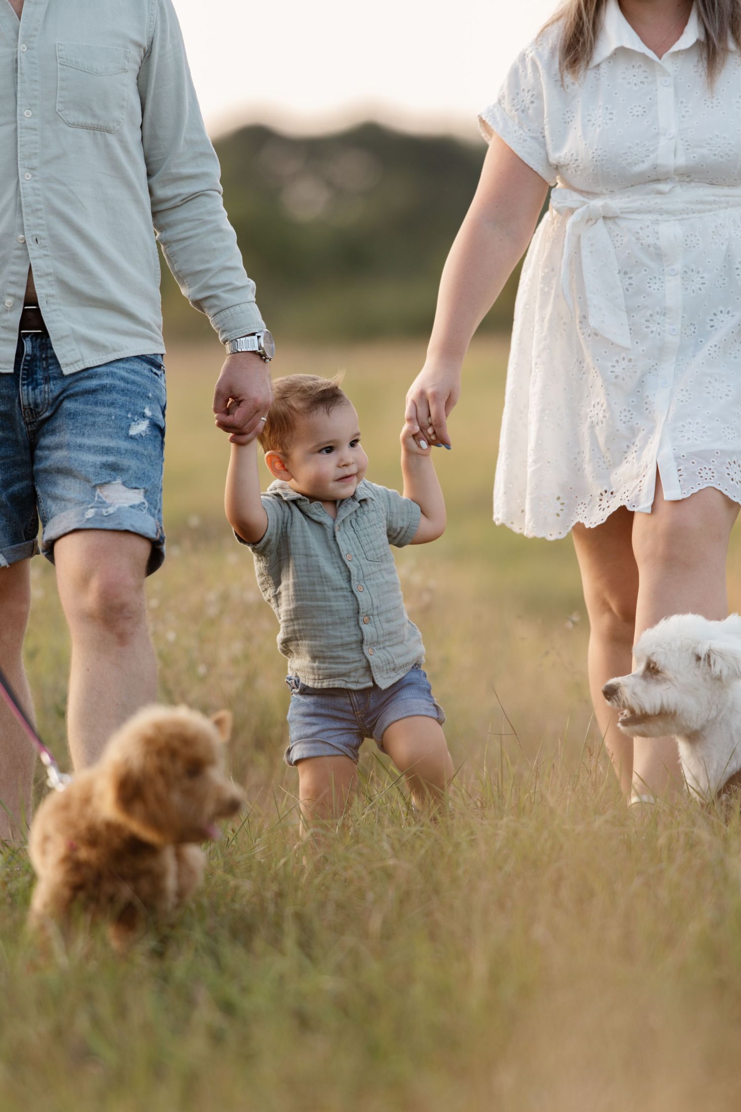 A family walks together in a meadow at sunset with their dogs, holding hands with a small child.
