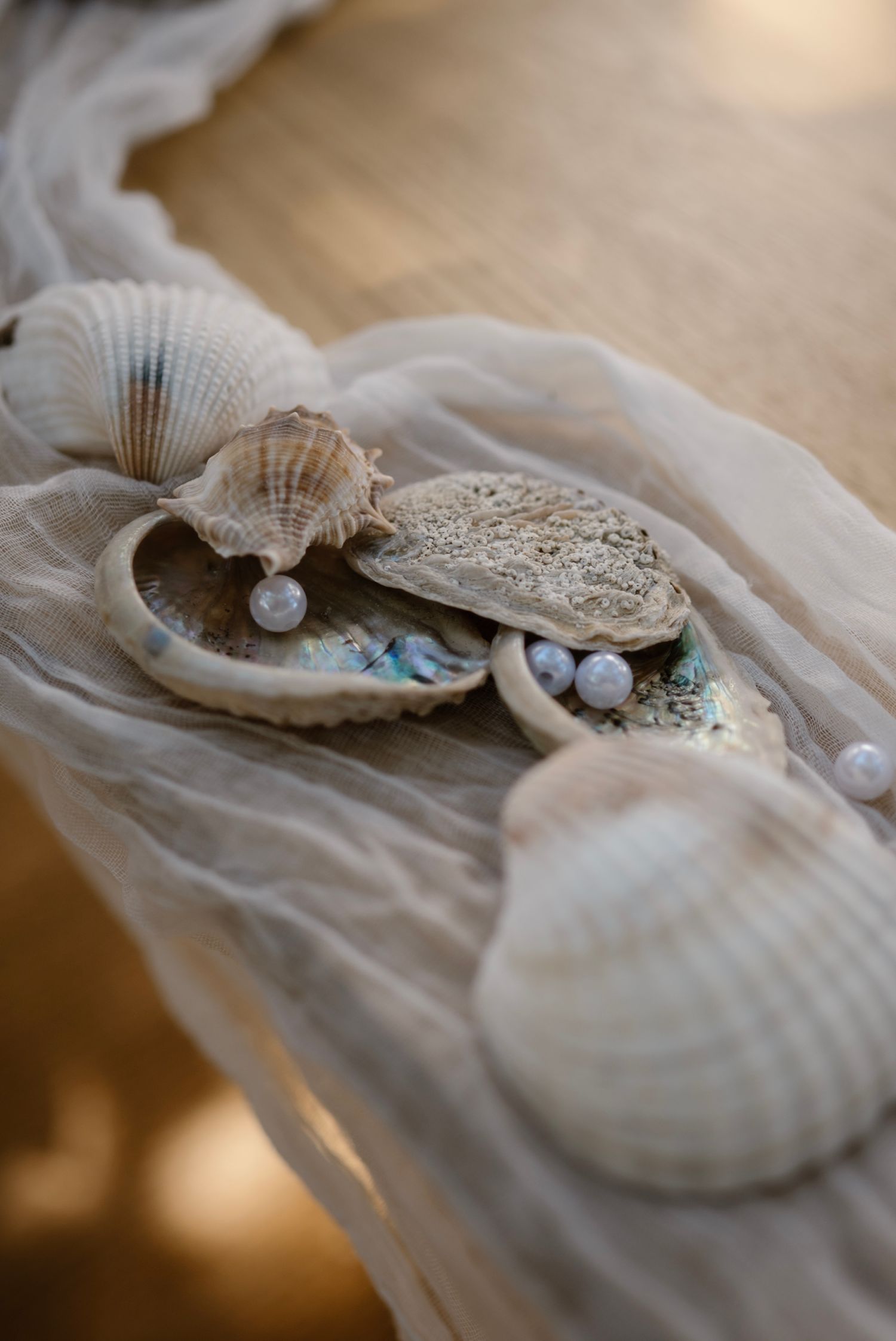 Decorative seashells and pearls arranged on sheer fabric for a beach-themed wedding display.