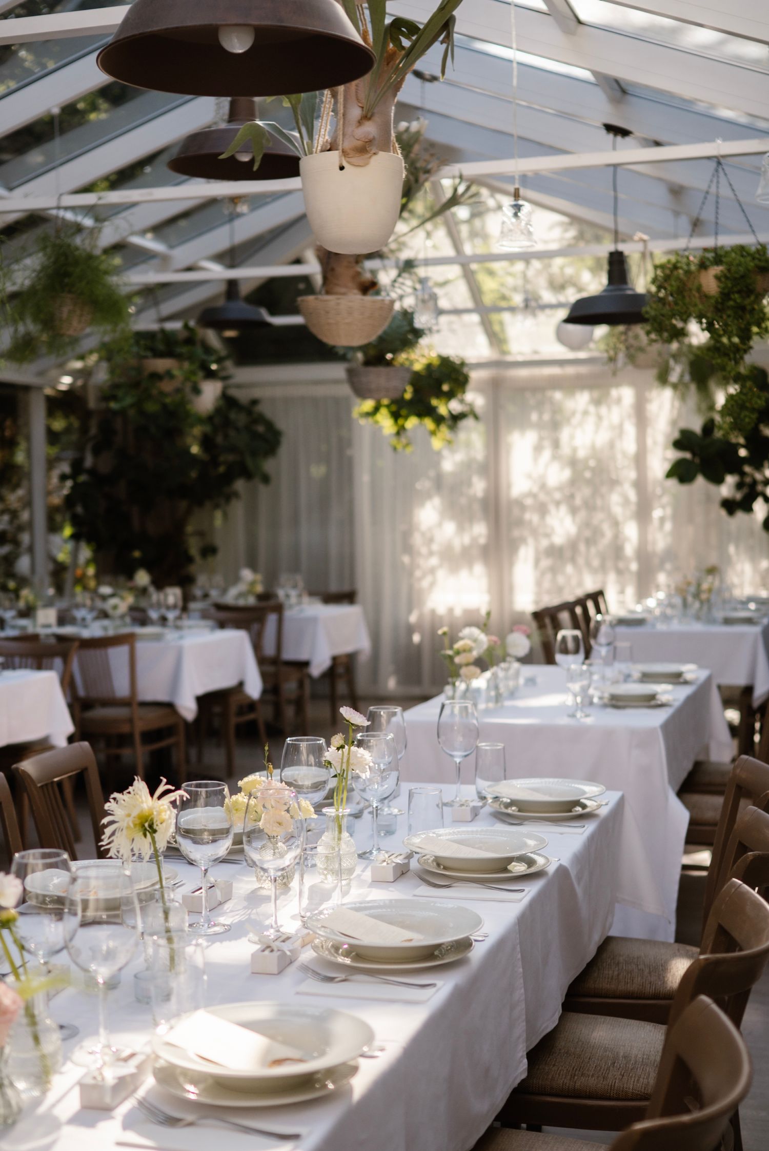 Elegant greenhouse dining room with white linen tables, crystal glasses, floral centerpieces, and hanging plants in natural light.
