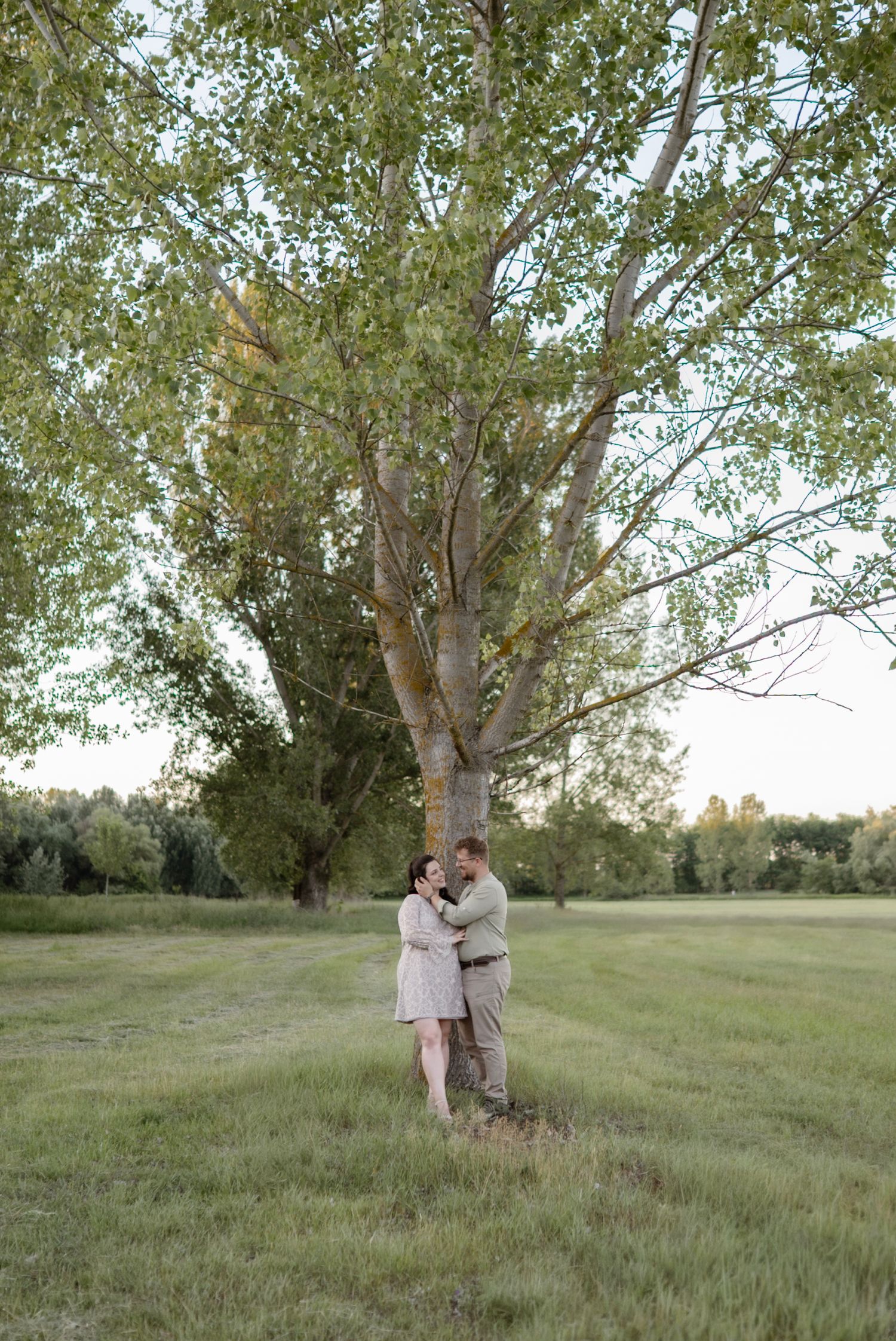 Couple embracing under a large tree in a green field during golden hour in a romantic outdoor engagement photo.