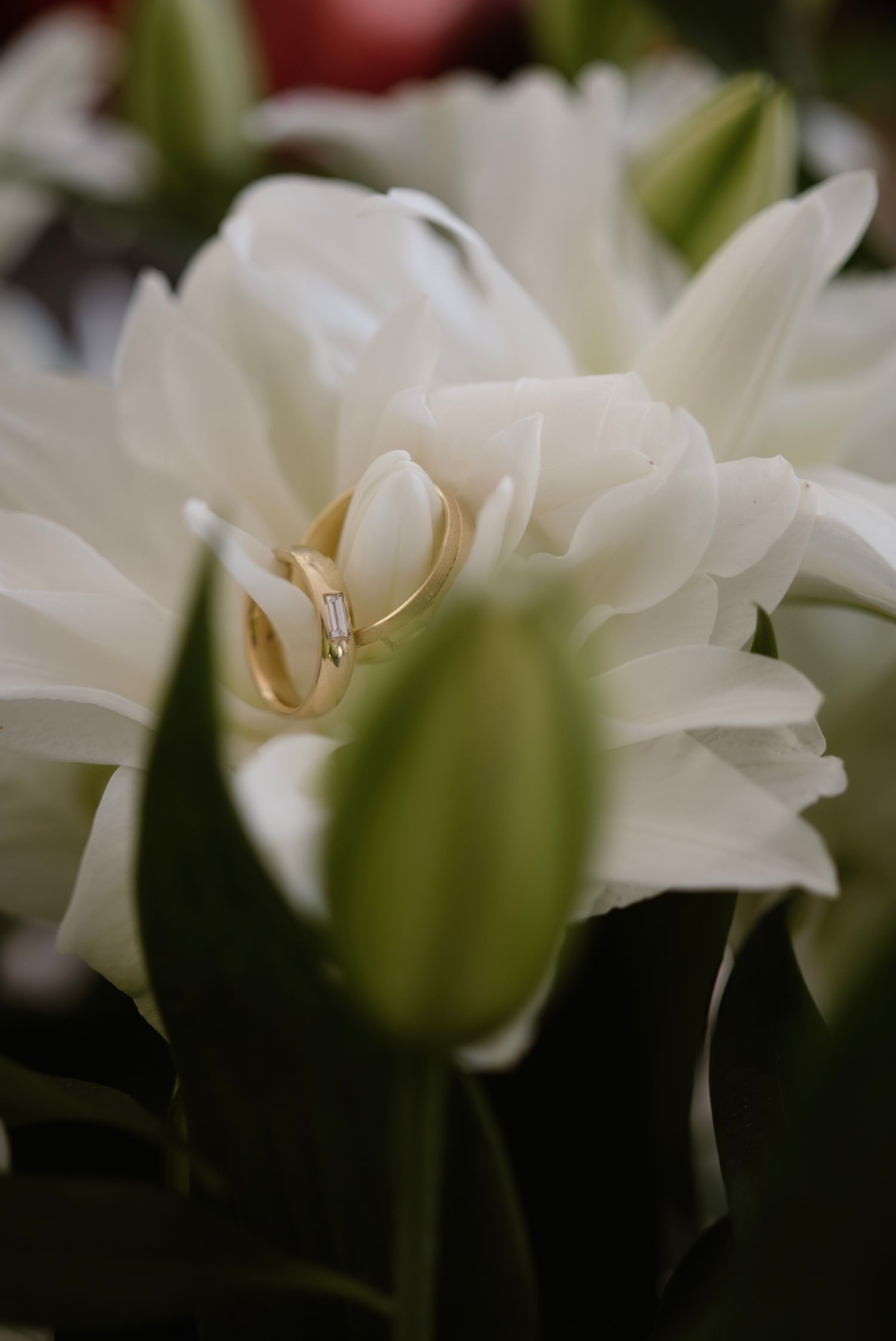 Two gold wedding rings resting on white lily flowers with green buds in a bridal bouquet.