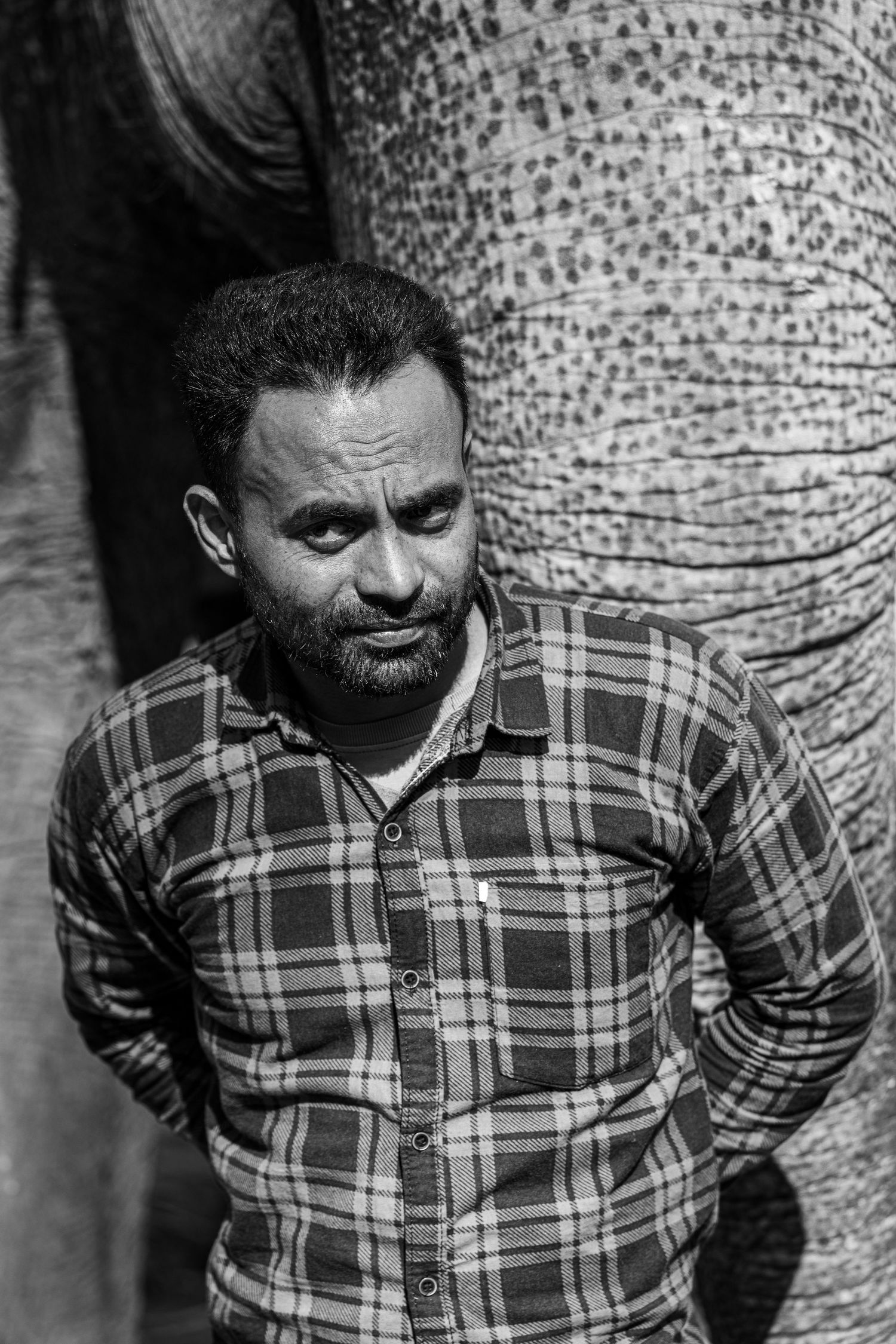 Indian man standing with elephant.