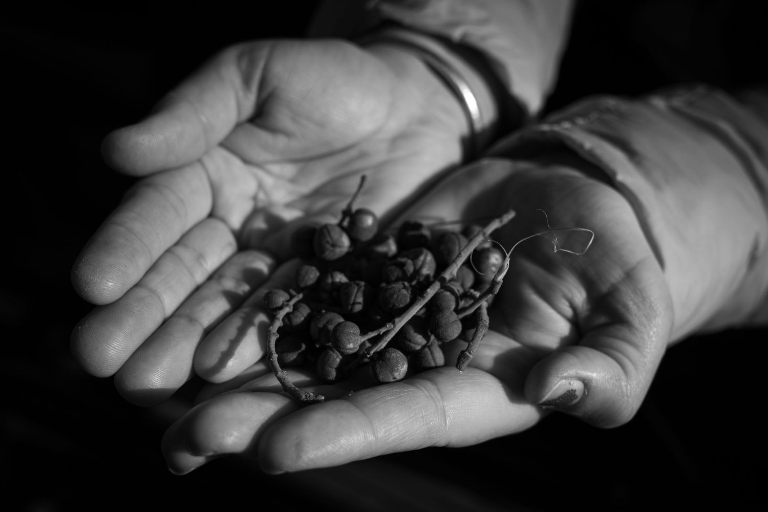 Sindoor seeds.