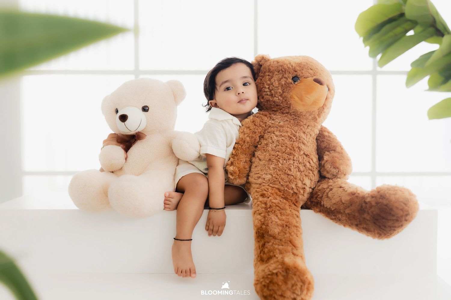 A teddy bear sits against a white background in a minimalist setting.