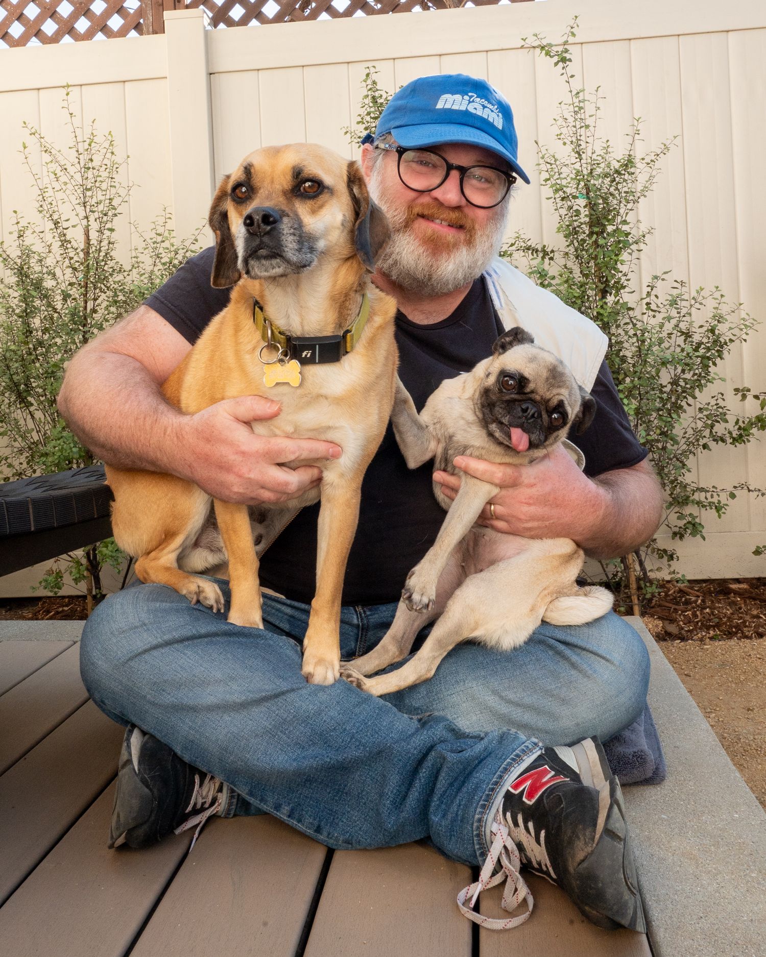 Dogs portrait Los Angeles. By California Pet Photographer.