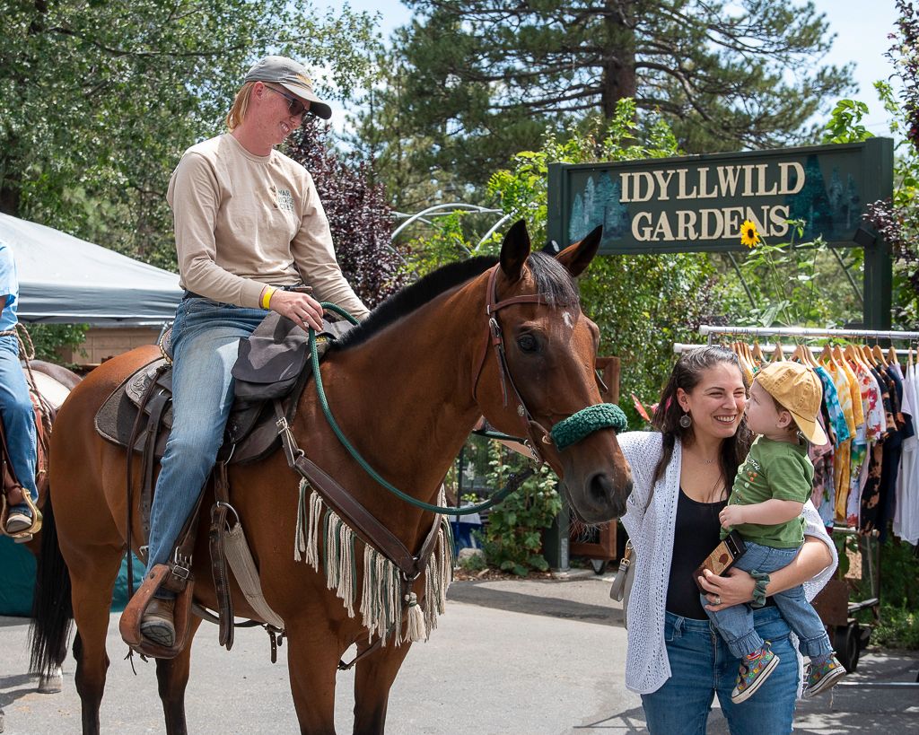 Pints in the Pines in Idyllwild, CA with Warhorse Creek. By California Event Photographer.