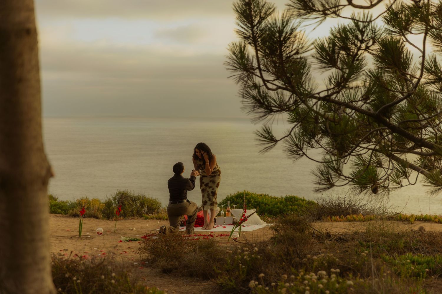 People enjoying a scenic coastal view with pine trees during golden sunset at an oceanside cliff.