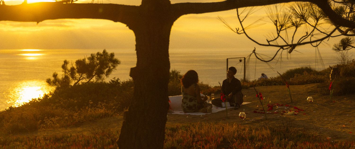 Silhouetted figures enjoy a scenic sunset picnic under a large tree overlooking a golden water view.