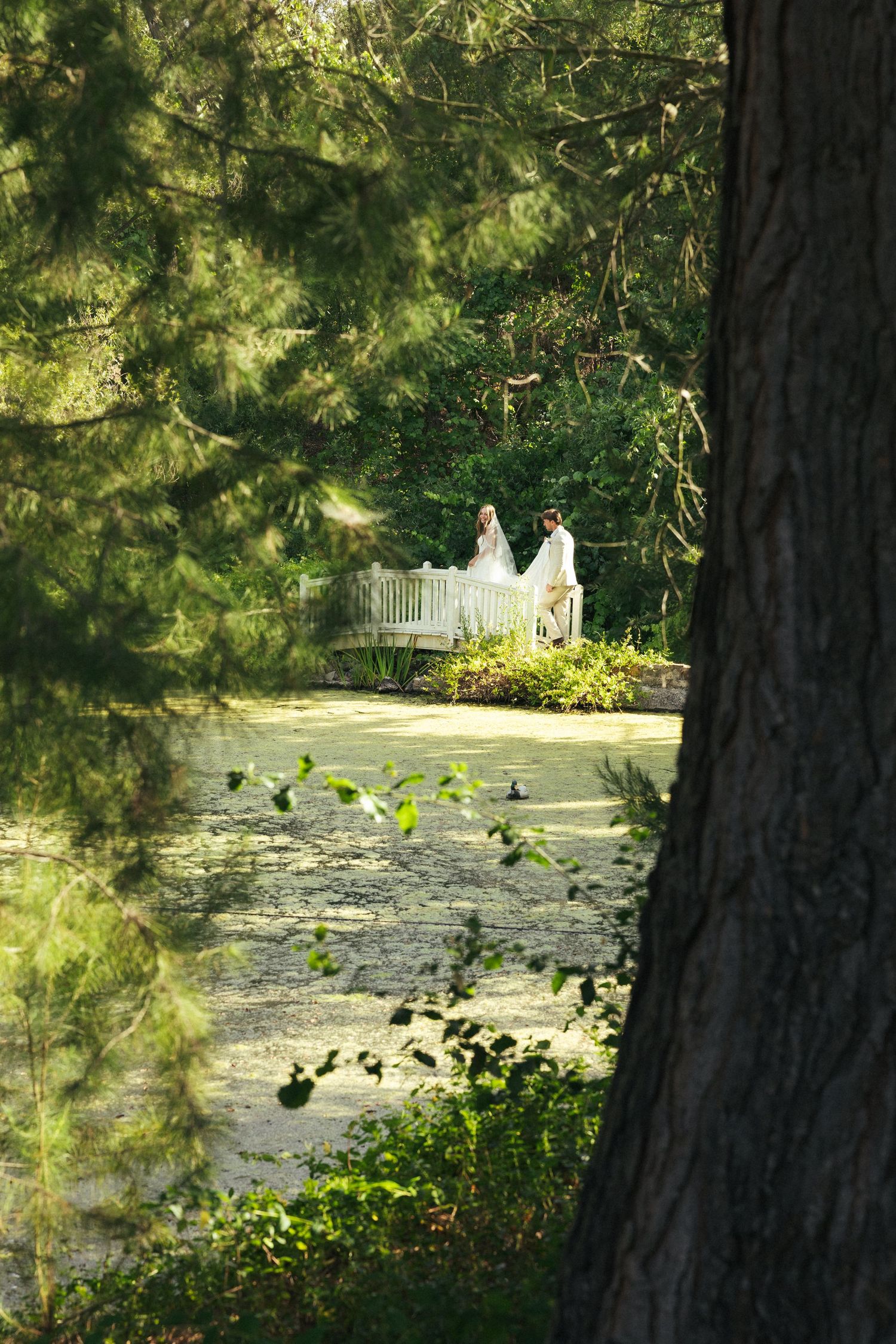 Bride and groom standing on a white bridge surrounded by lush green trees in a sunlit garden setting.