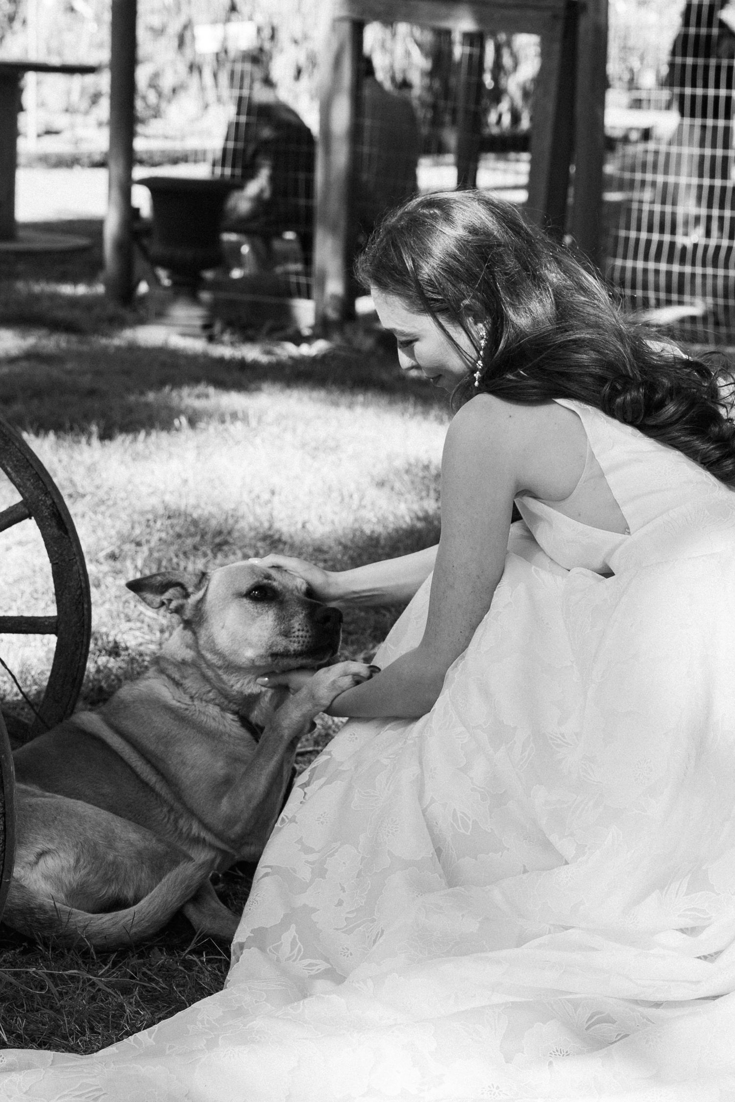Bride in white gown kneeling on grass, tenderly petting a dog beside a wooden wagon wheel.
