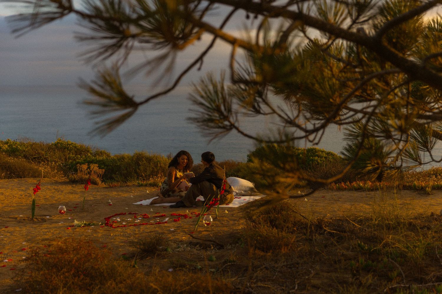 A couple enjoys a romantic sunset picnic on a grassy coastal hill framed by pine branches.