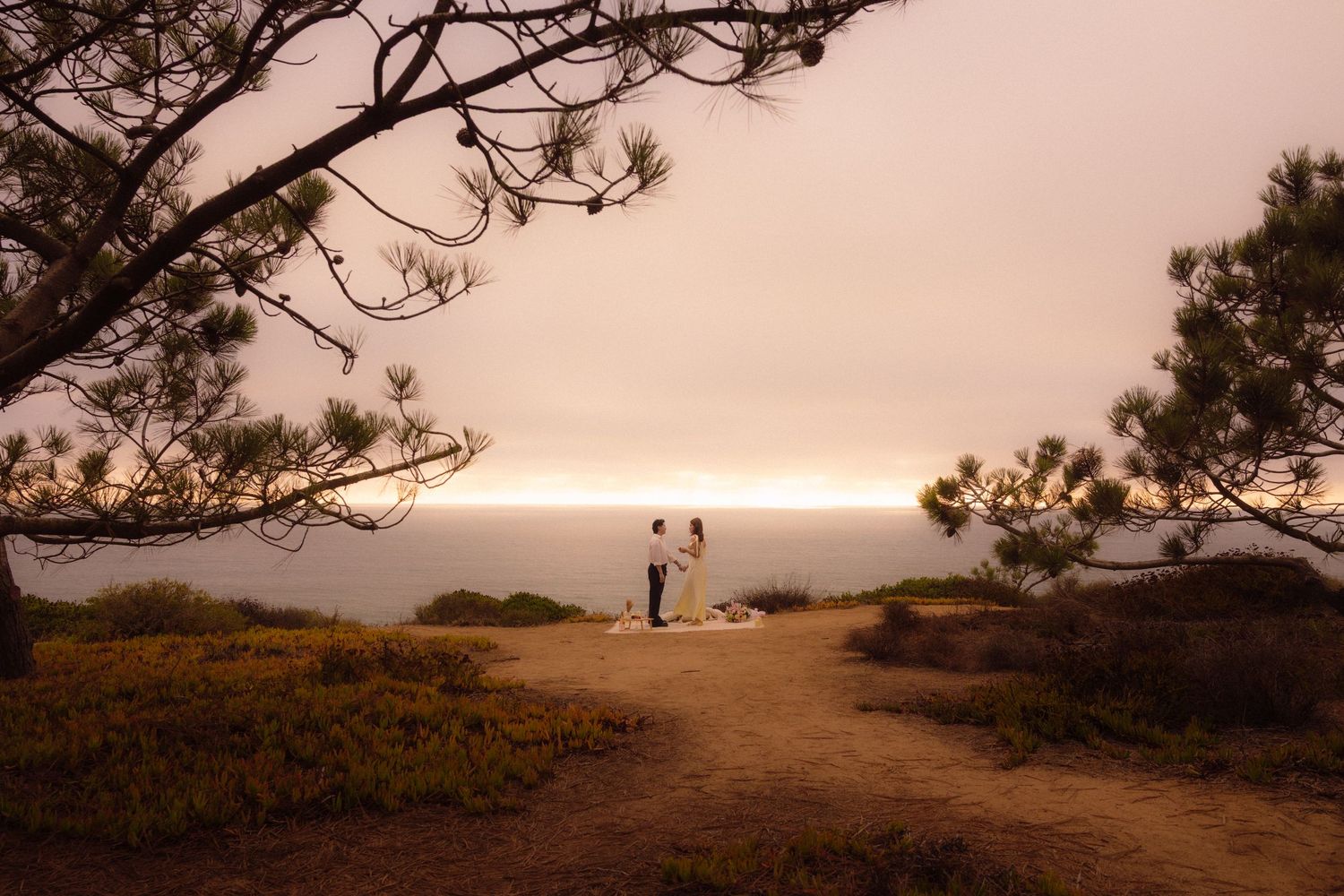 Scenic coastal path through pine trees at sunset with golden light illuminating the trail and ocean view.