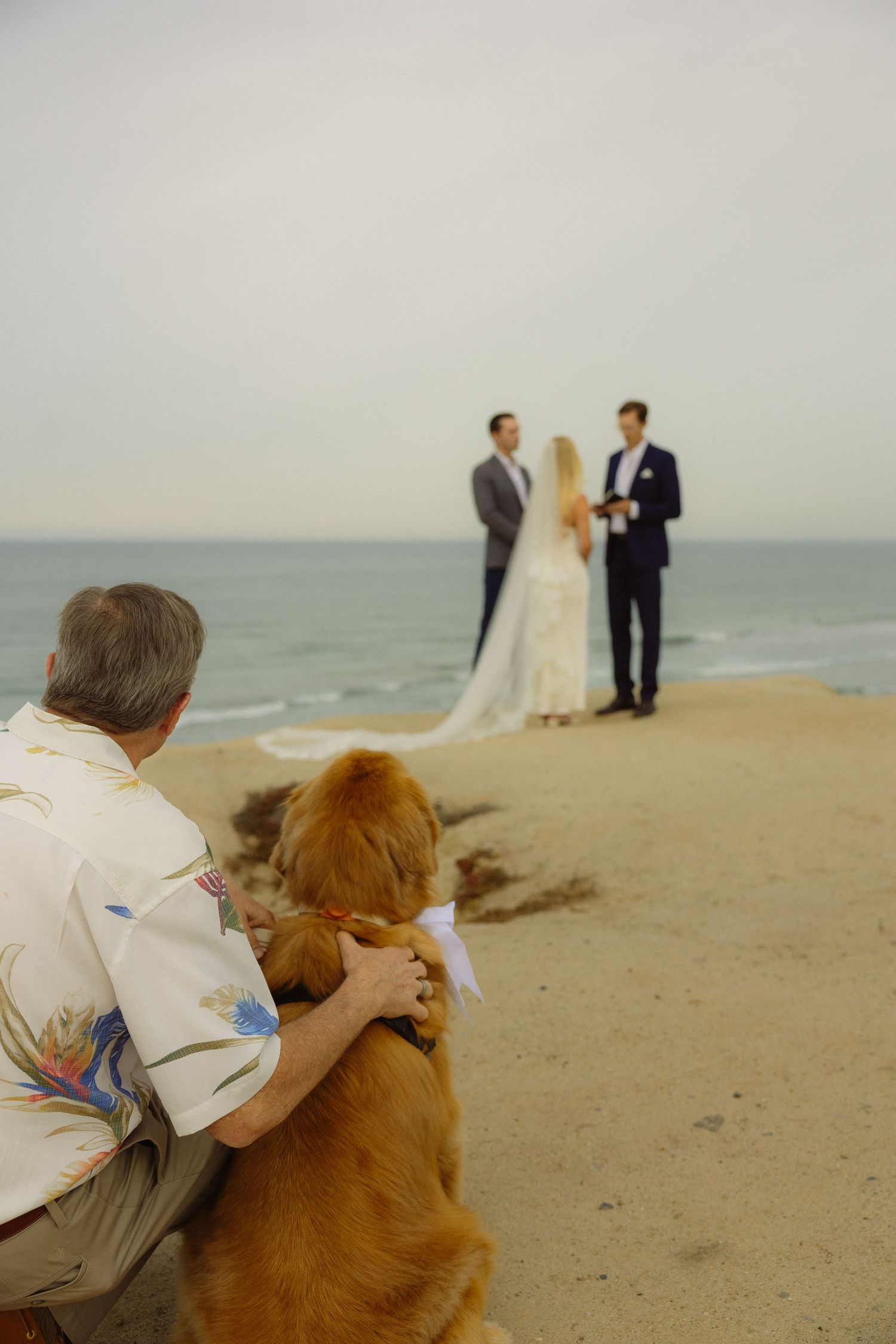 Man with golden retriever watches beach wedding ceremony with bride, groom, and officiant by the ocean.
