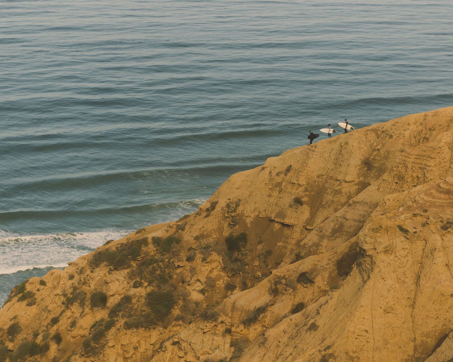 Steep golden cliffs rise above the blue ocean with seabirds flying along the coastline.