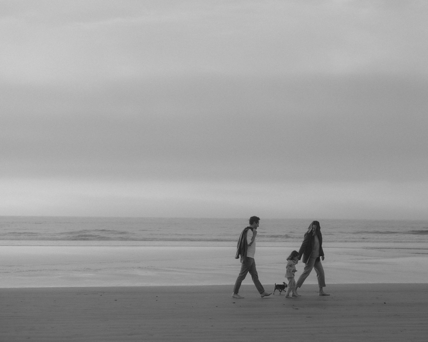 A sequence of black and white images shows people and a dog walking along a misty beach, fading into the horizon.