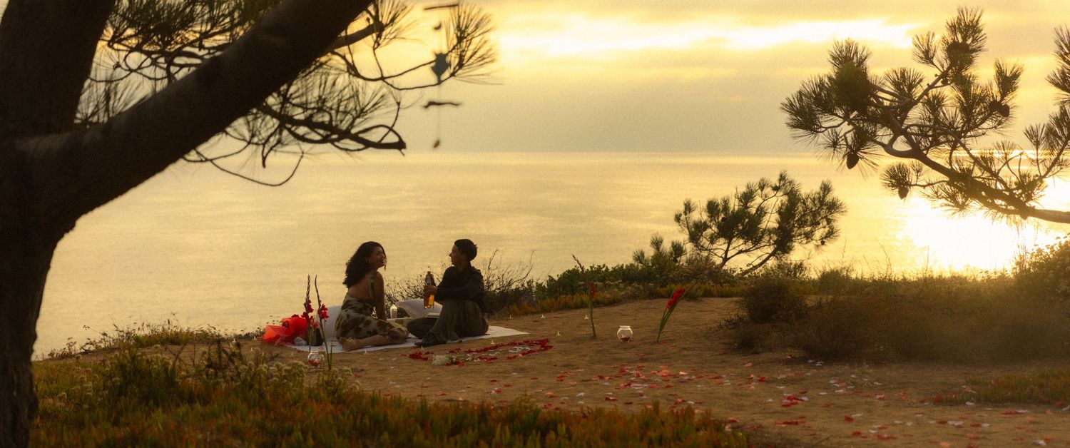 People sit on a coastal cliff overlooking the ocean during a golden sunset while pine trees frame the scene.