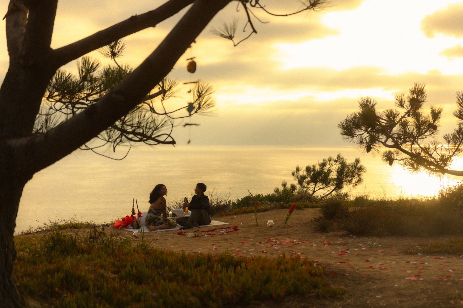 Silhouettes of trees and people camping on a coastal cliff against a golden sunset sky.