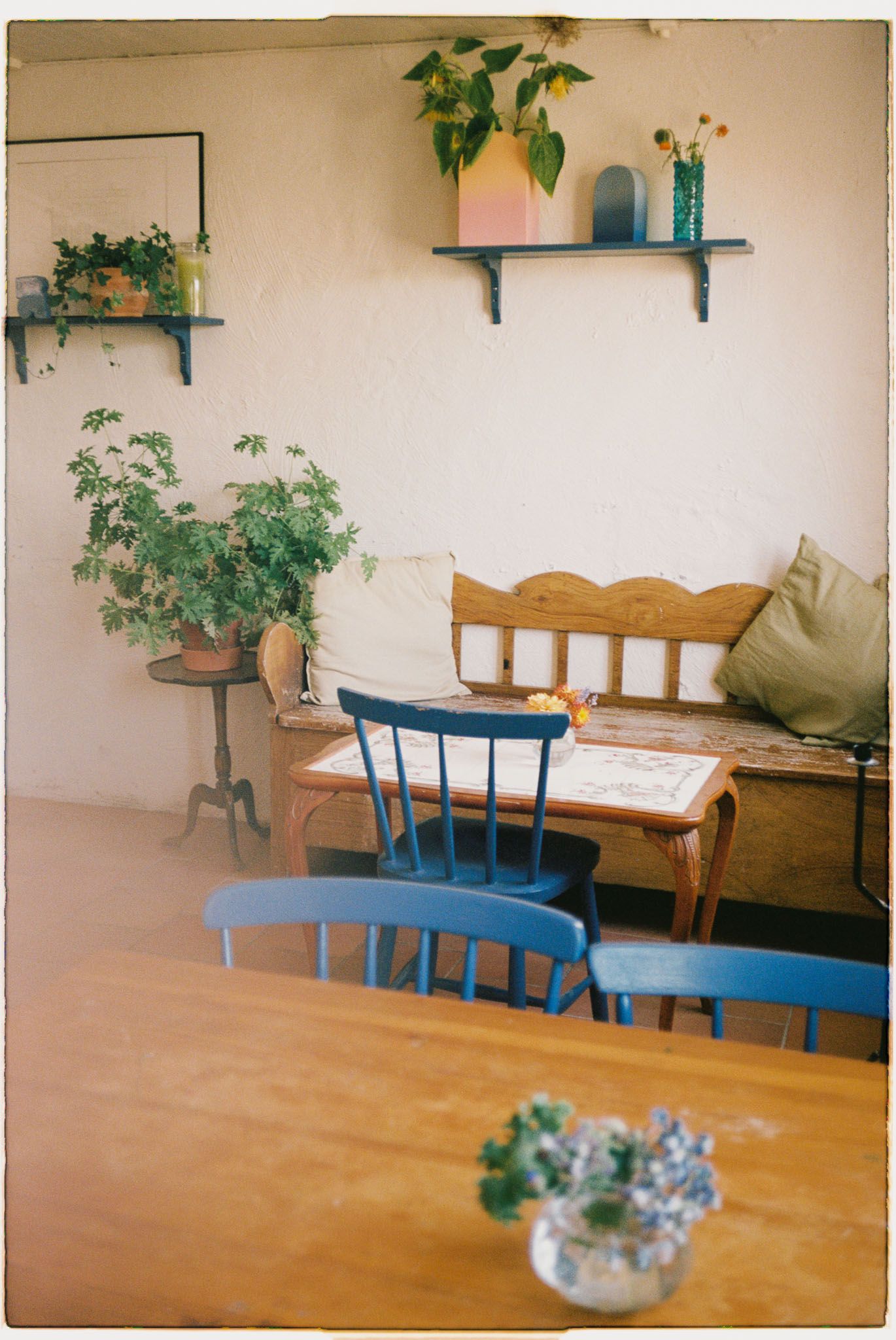 Cozy interior space with blue wooden chairs, potted plants, and vintage furniture. Café in Sweden.