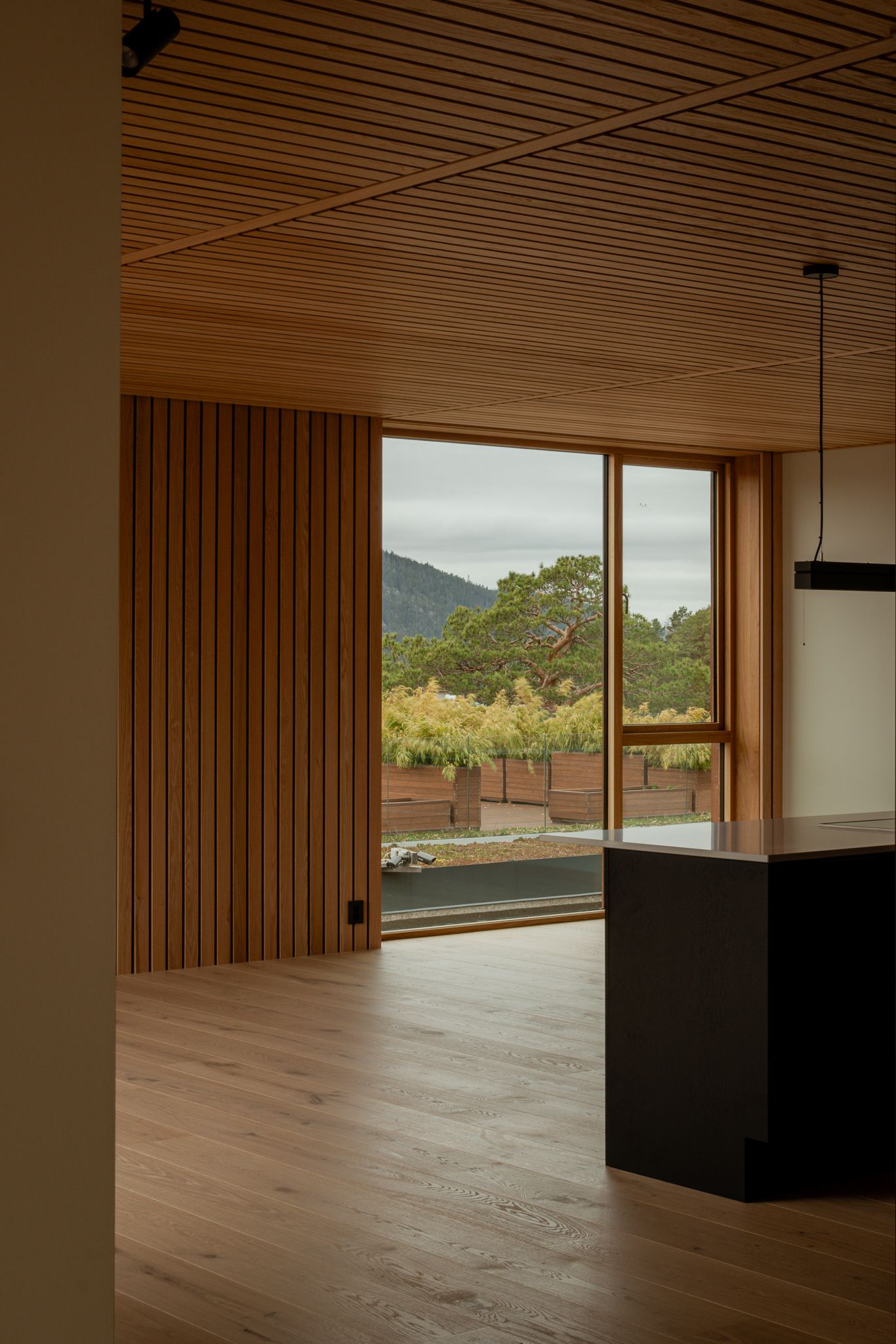 Modern interior with wood paneled ceiling and large window showcasing nature views. Architecture by Borhaven Architects.