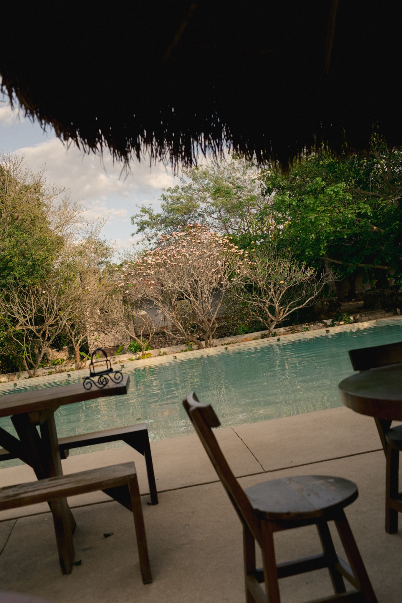 Panoramic view of wooden benches and tables overlooking a swimming pool with lush greenery in the background in Mexico.