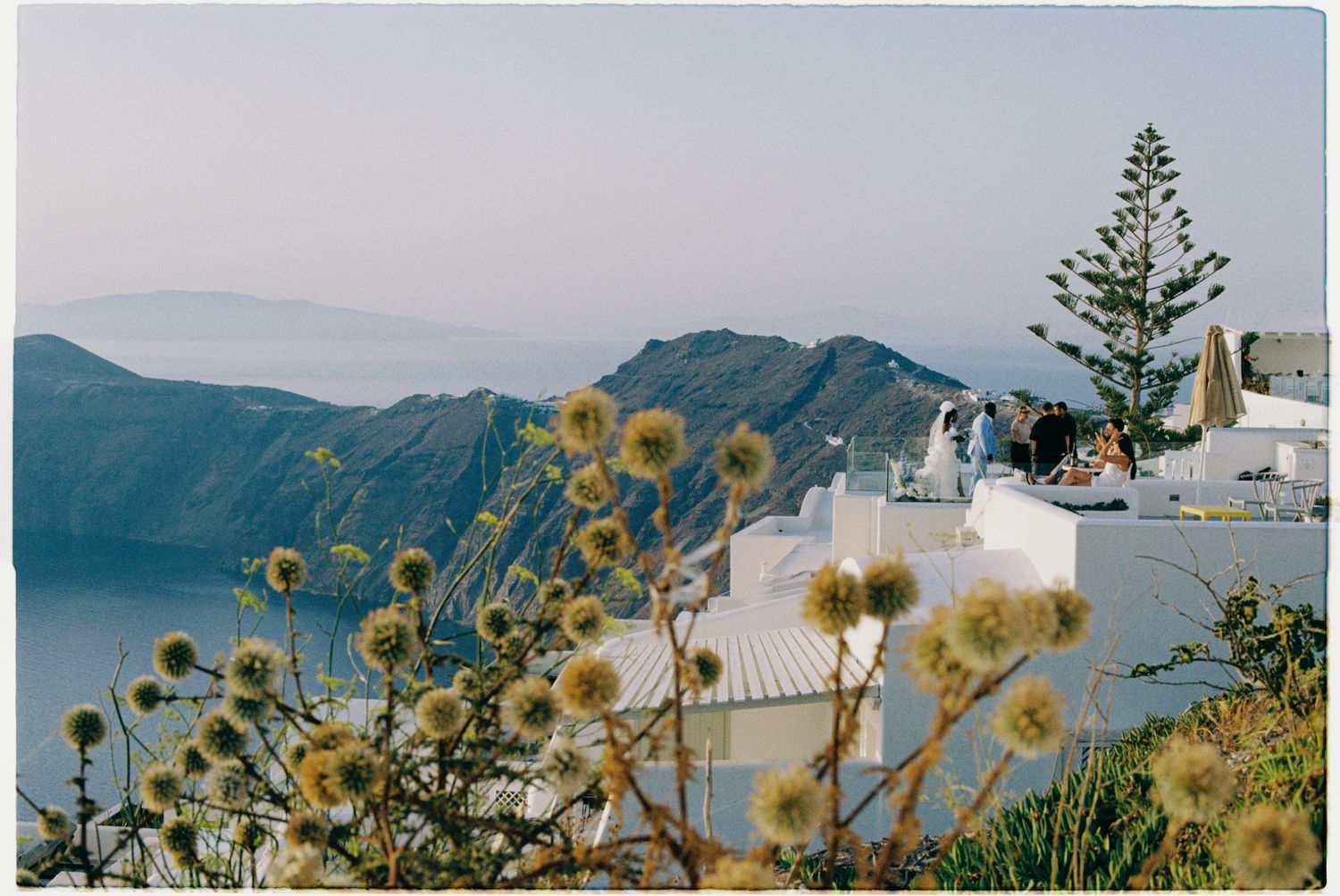 Yellow wildflowers grow along the hillside overlooking white Mediterranean buildings and distant mountains in Santorini, Greece.