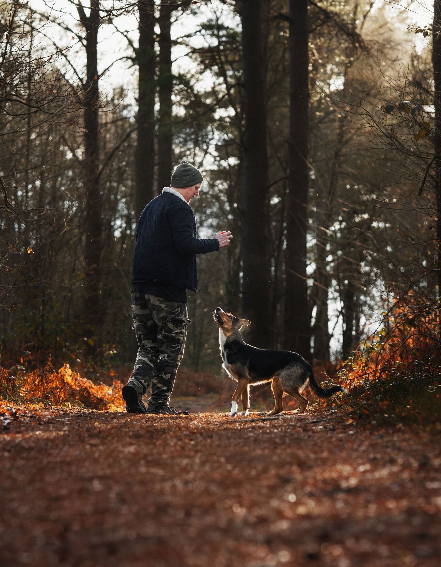 Man in camouflage pants training a dog on a forest trail surrounded by autumn foliage and tall trees.