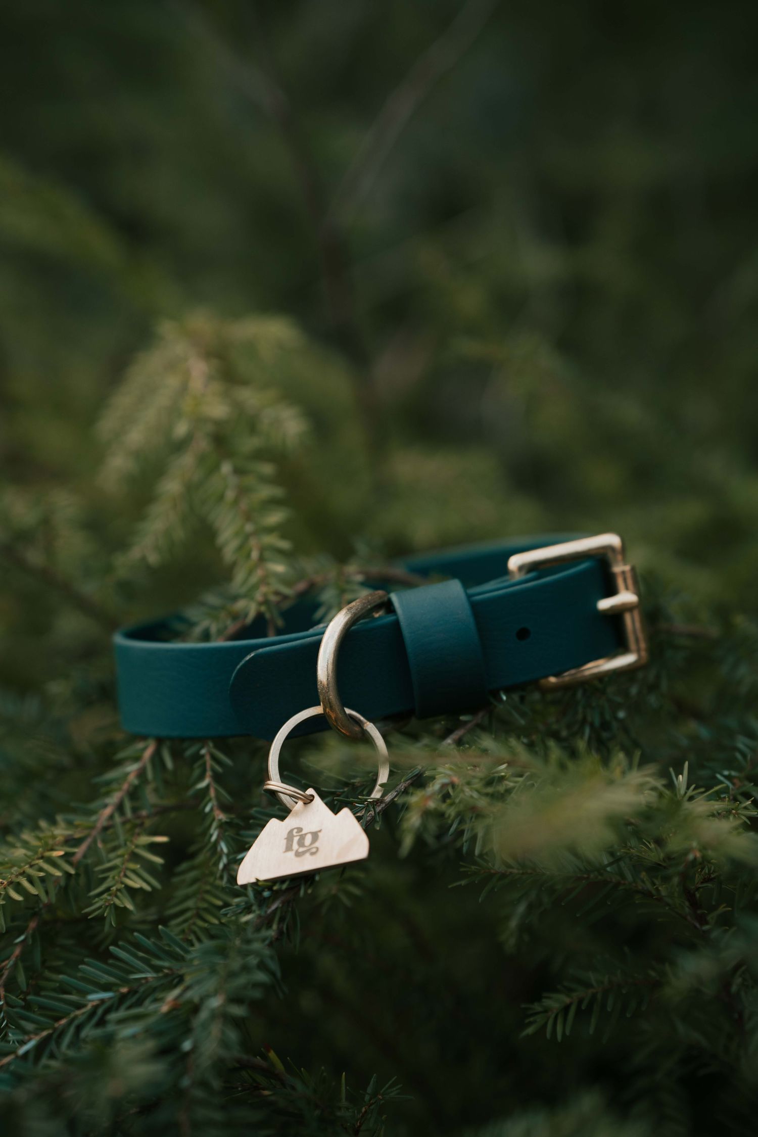 Teal leather dog collar with gold buckle and mountain-shaped pet ID tag resting on green pine branches.