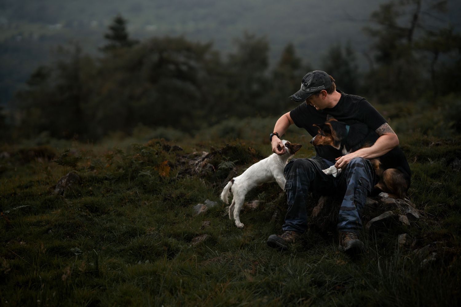 Man sitting on a hillside petting two dogs, surrounded by lush green landscape in a moody outdoor setting.