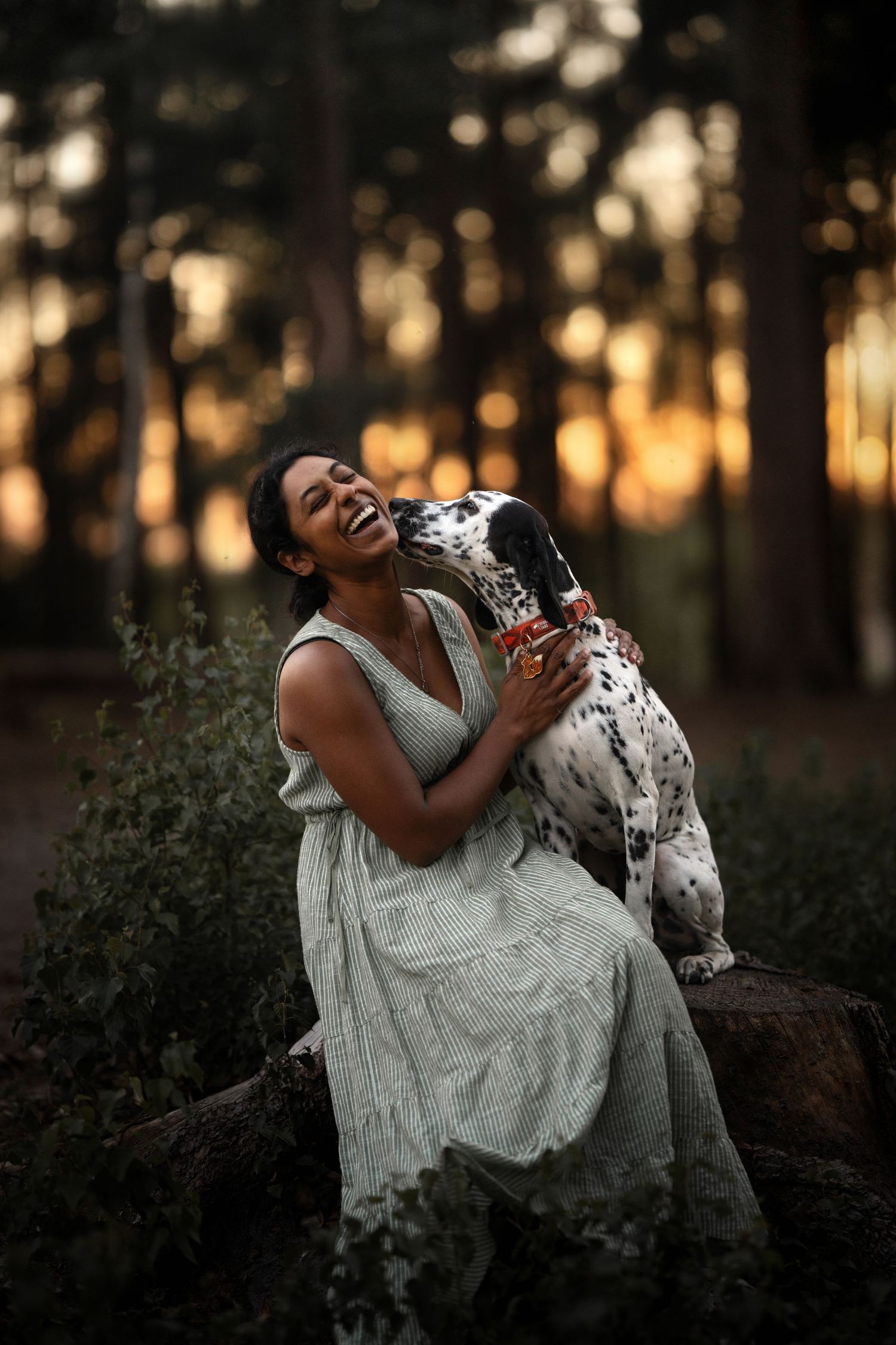 A joyful woman in a linen dress laughs while hugging her Dalmatian dog on a log in a forest at sunset.