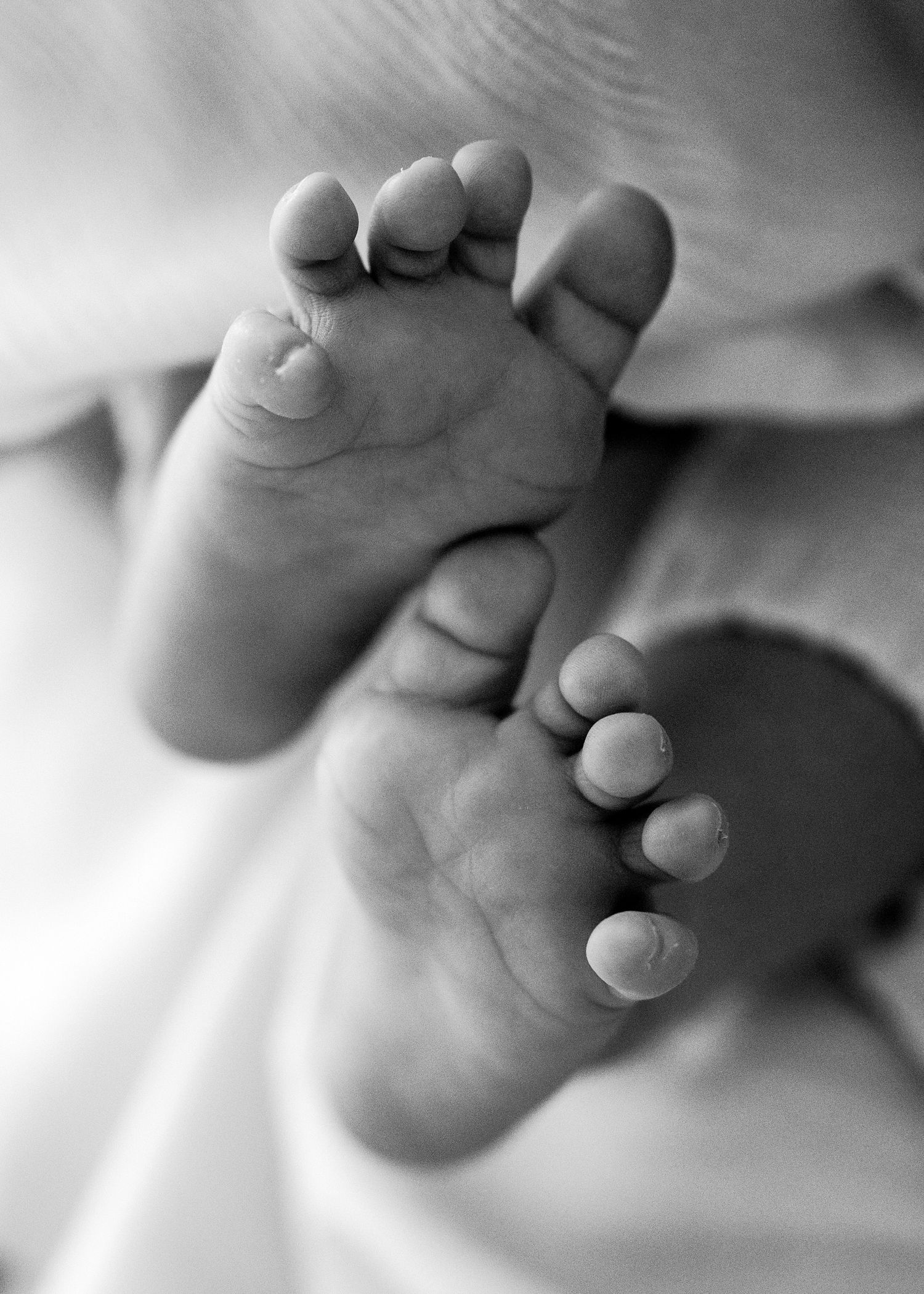 Close-up black and white photos of tiny baby feet against white fabric.