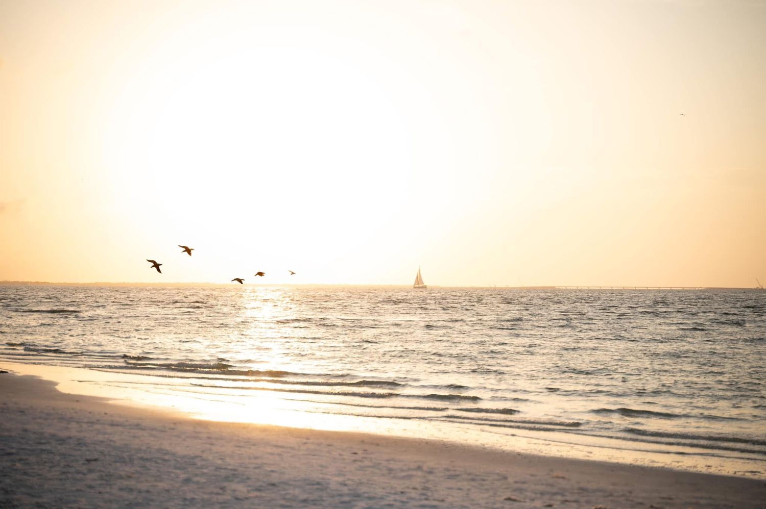 Sunset beach scene with birds flying over calm ocean waters.
