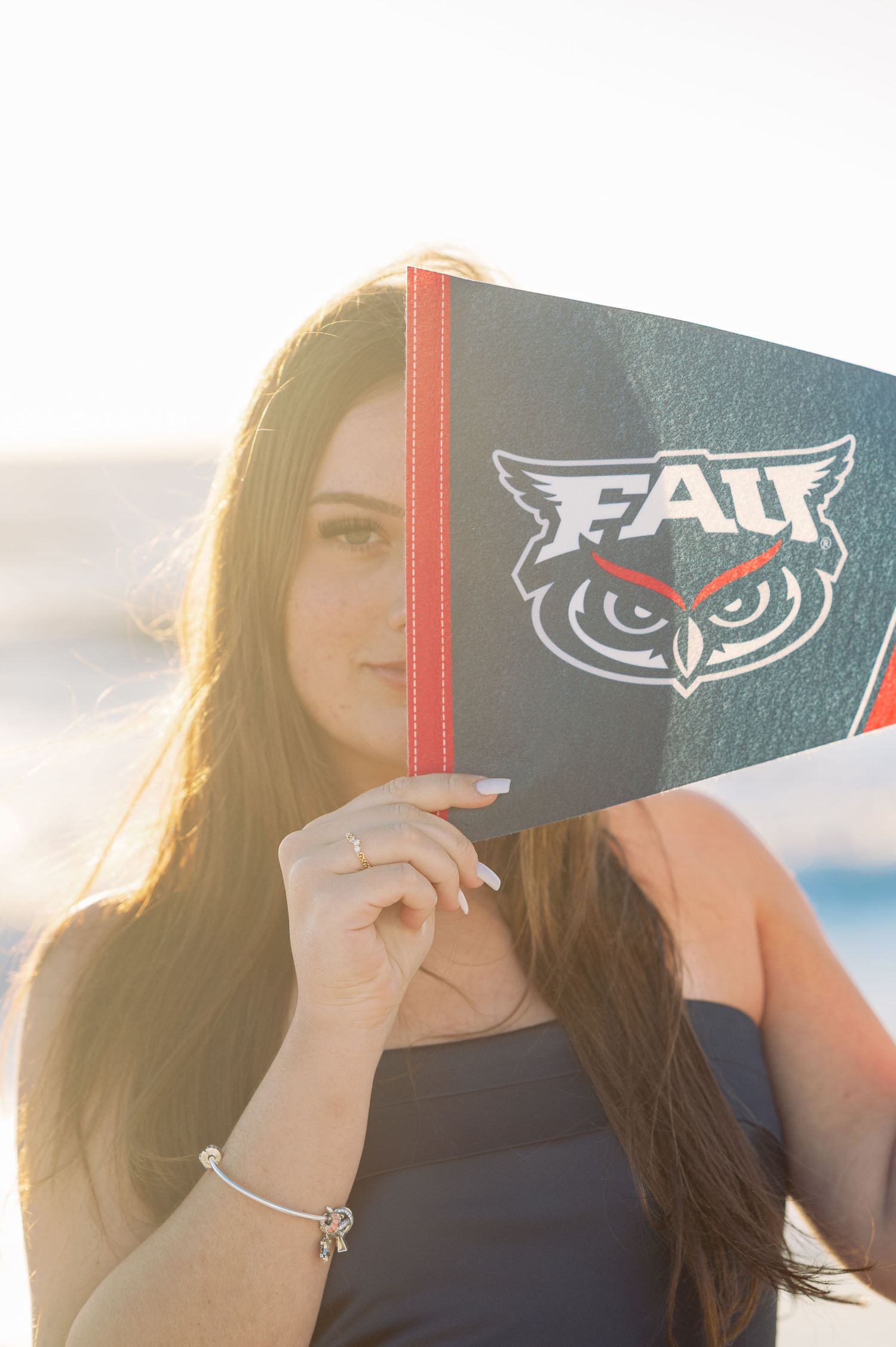 Series of photos showing FAU owl mascot logo pennant at sunset on beach.