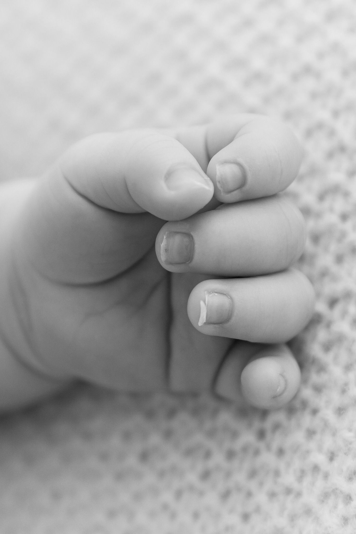 Close-up black and white photograph of tiny baby feet being gently held by adult hands against a textured background.