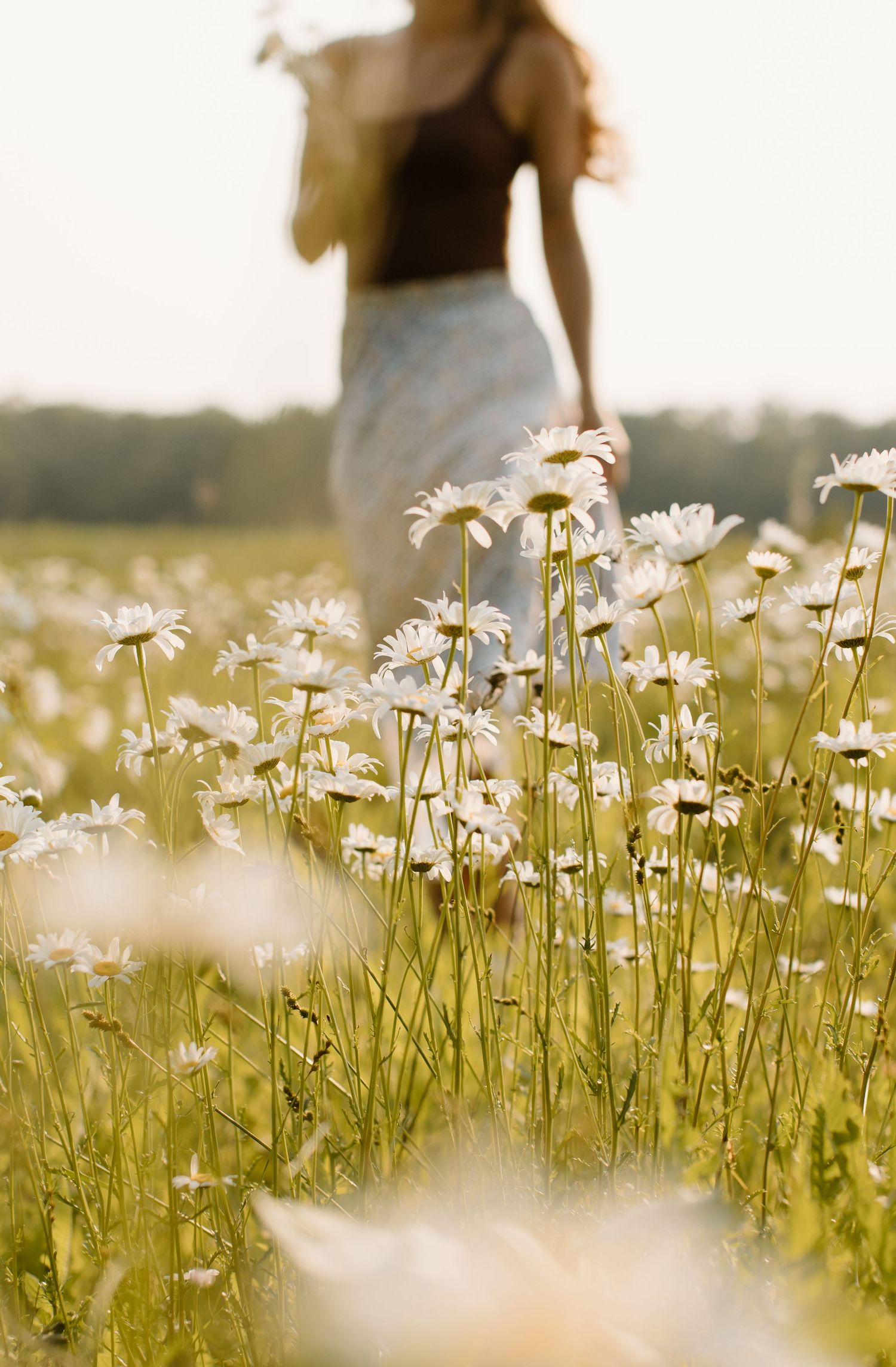 White daisies bloom in a summer meadow while a figure in a flowing skirt walks among the wildflowers at sunset.