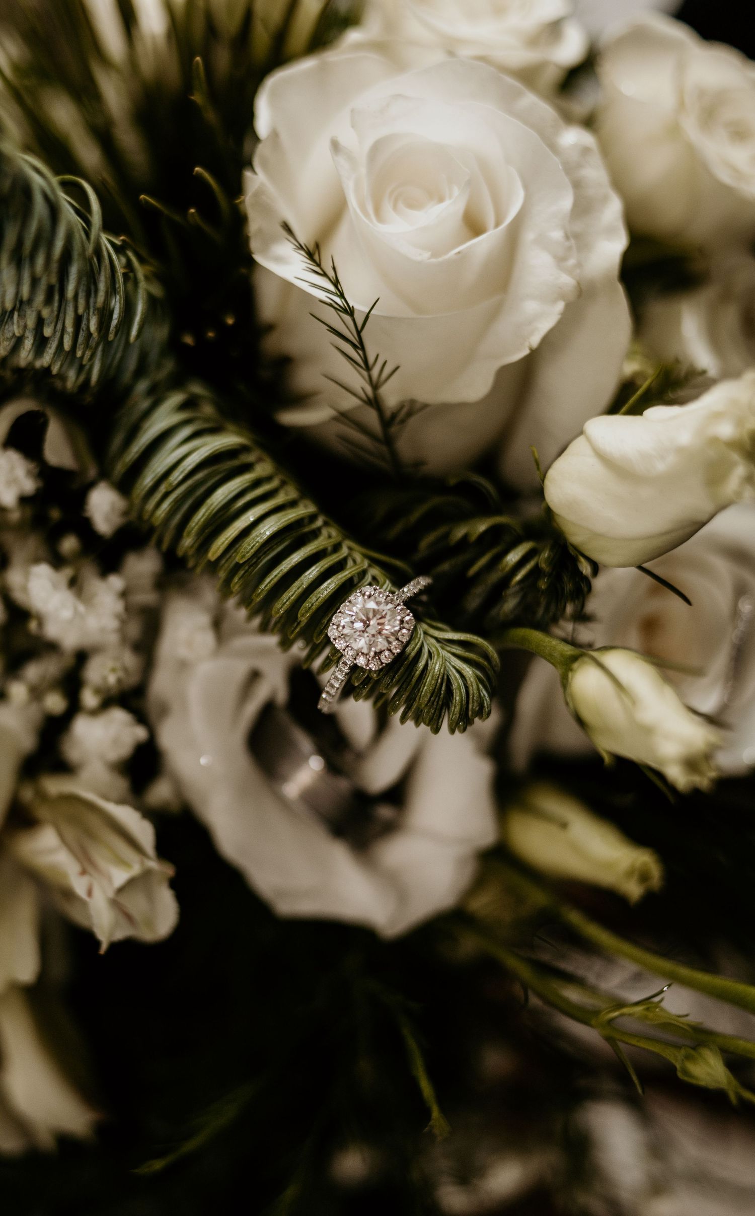 An engagement ring nestled among white roses and evergreen sprigs in an elegant bouquet.