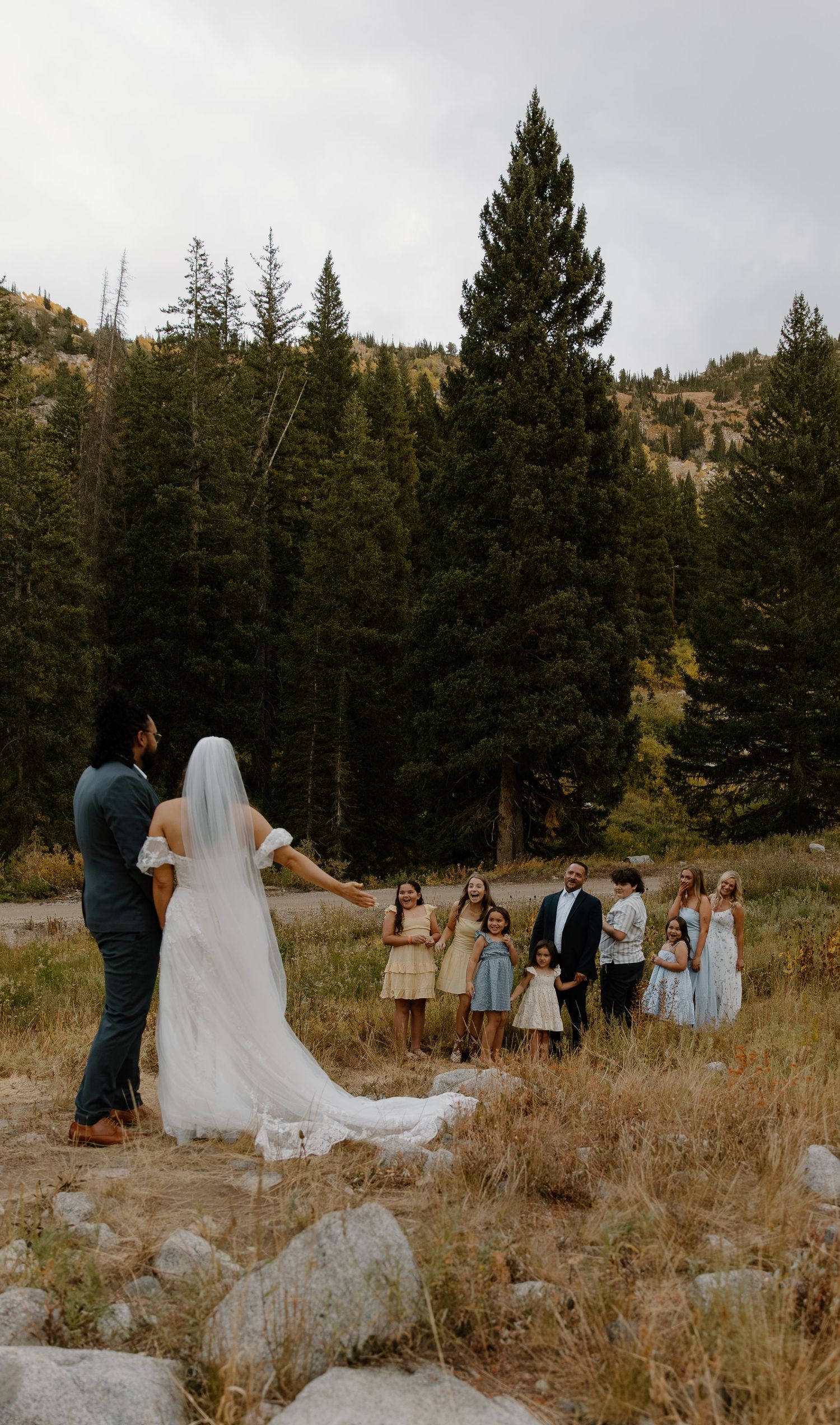 Wedding party gathers in a rustic mountain meadow surrounded by pine trees as newlyweds pose together.