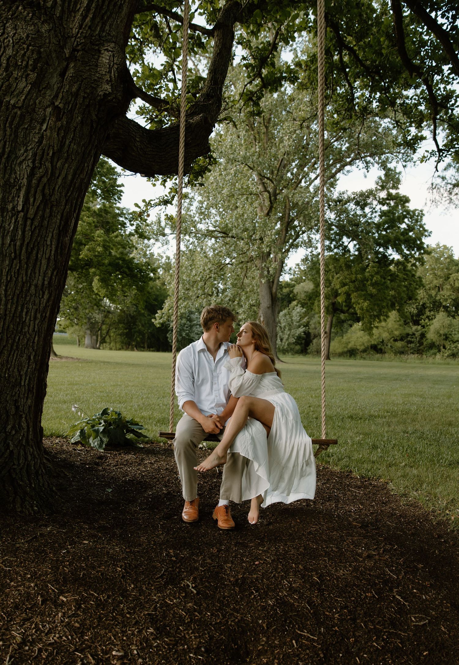 Couple sharing a romantic moment on a wooden rope swing under a large oak tree in a lush green park.