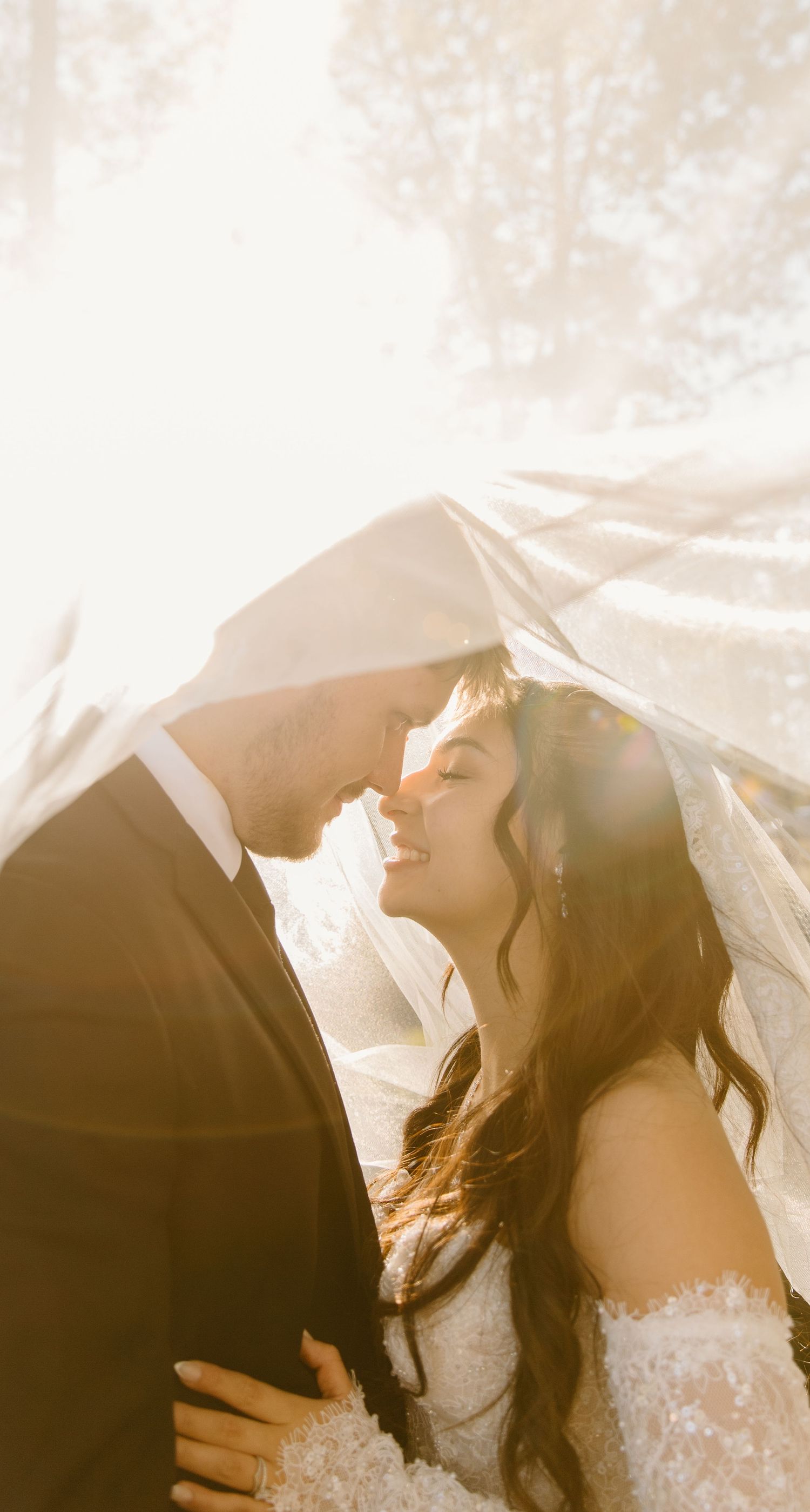 A romantic wedding couple shares an intimate moment under a flowing veil in warm sunlight.