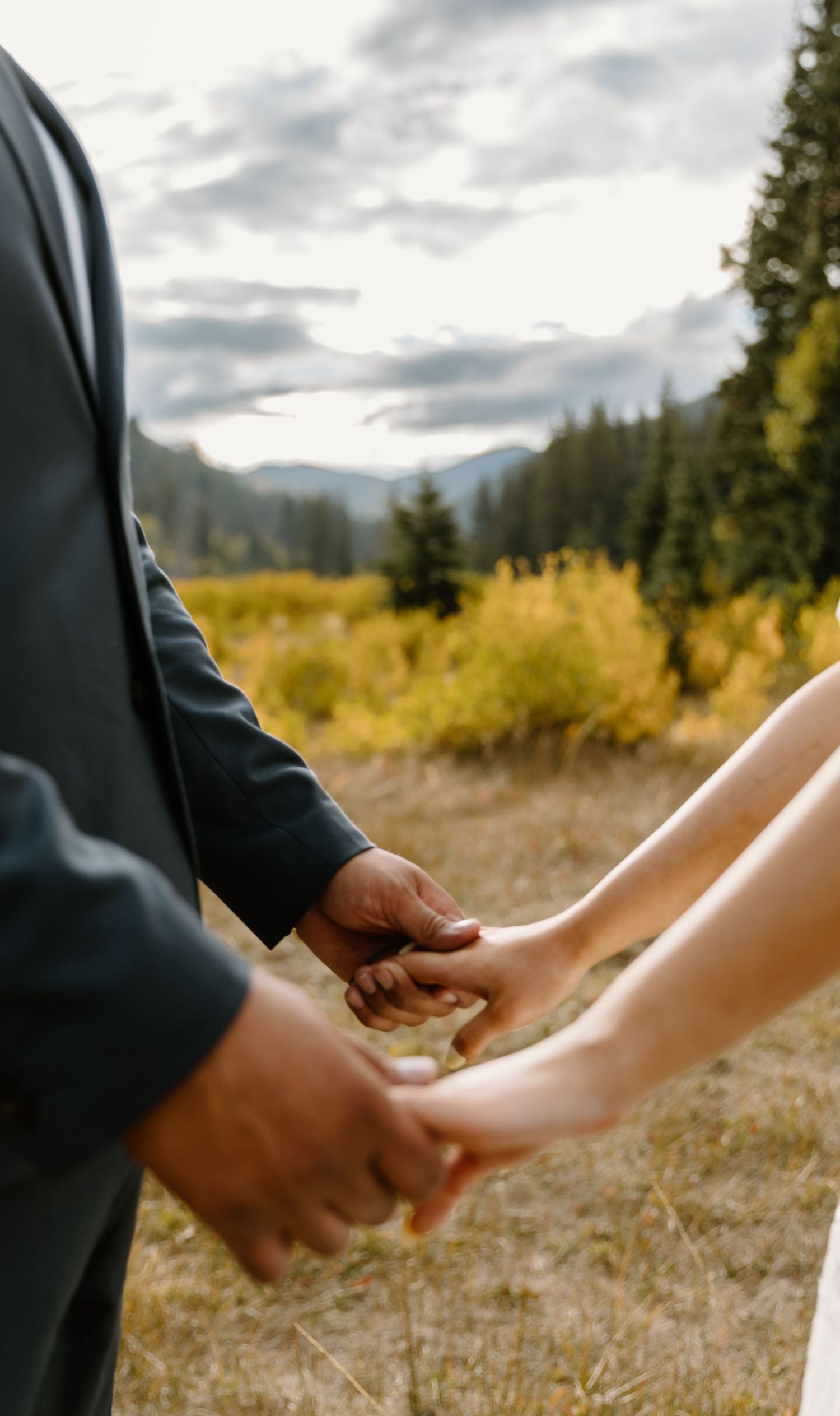 A series of close-up shots showing hands exchanging wedding rings in an outdoor mountain setting.