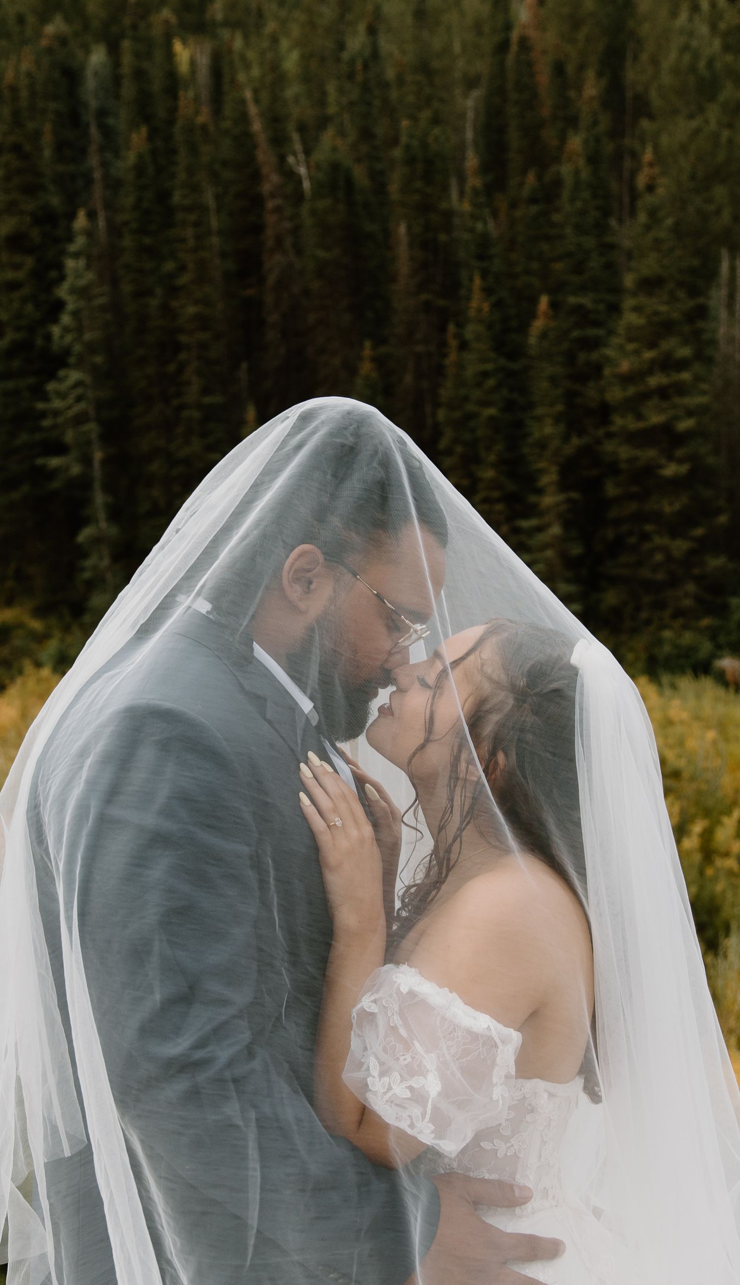 A romantic wedding couple shares an intimate kiss under a flowing veil against a backdrop of evergreen trees.