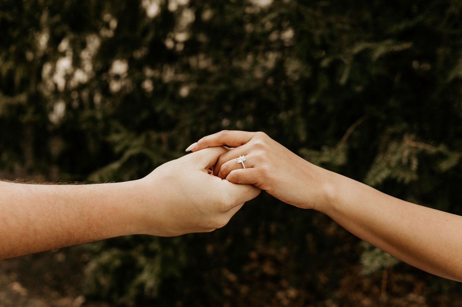 Two hands gently touching and holding each other against a dark forest backdrop.