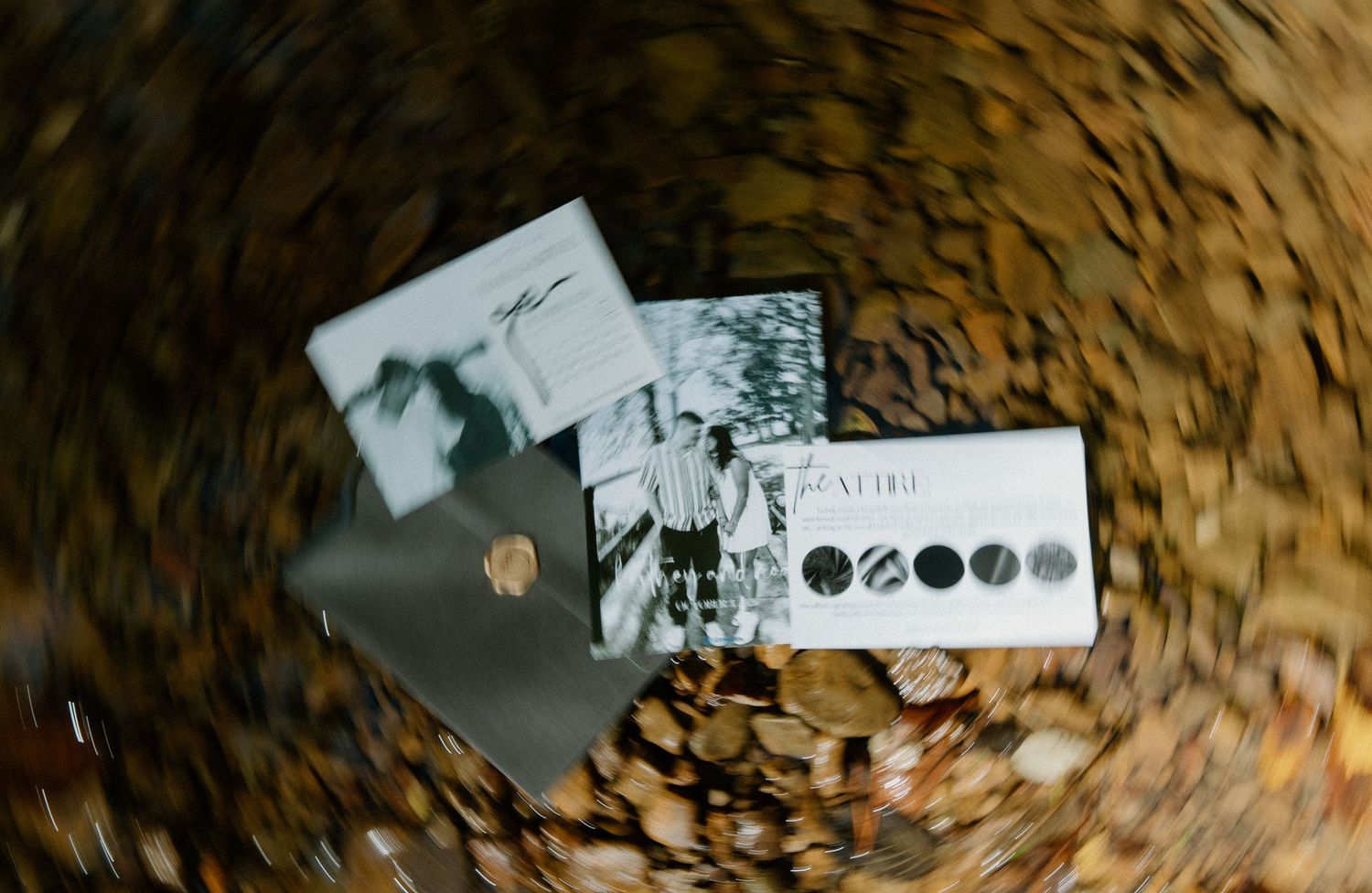 Aerial view of photo prints and a card with color swatches scattered on autumn leaves.