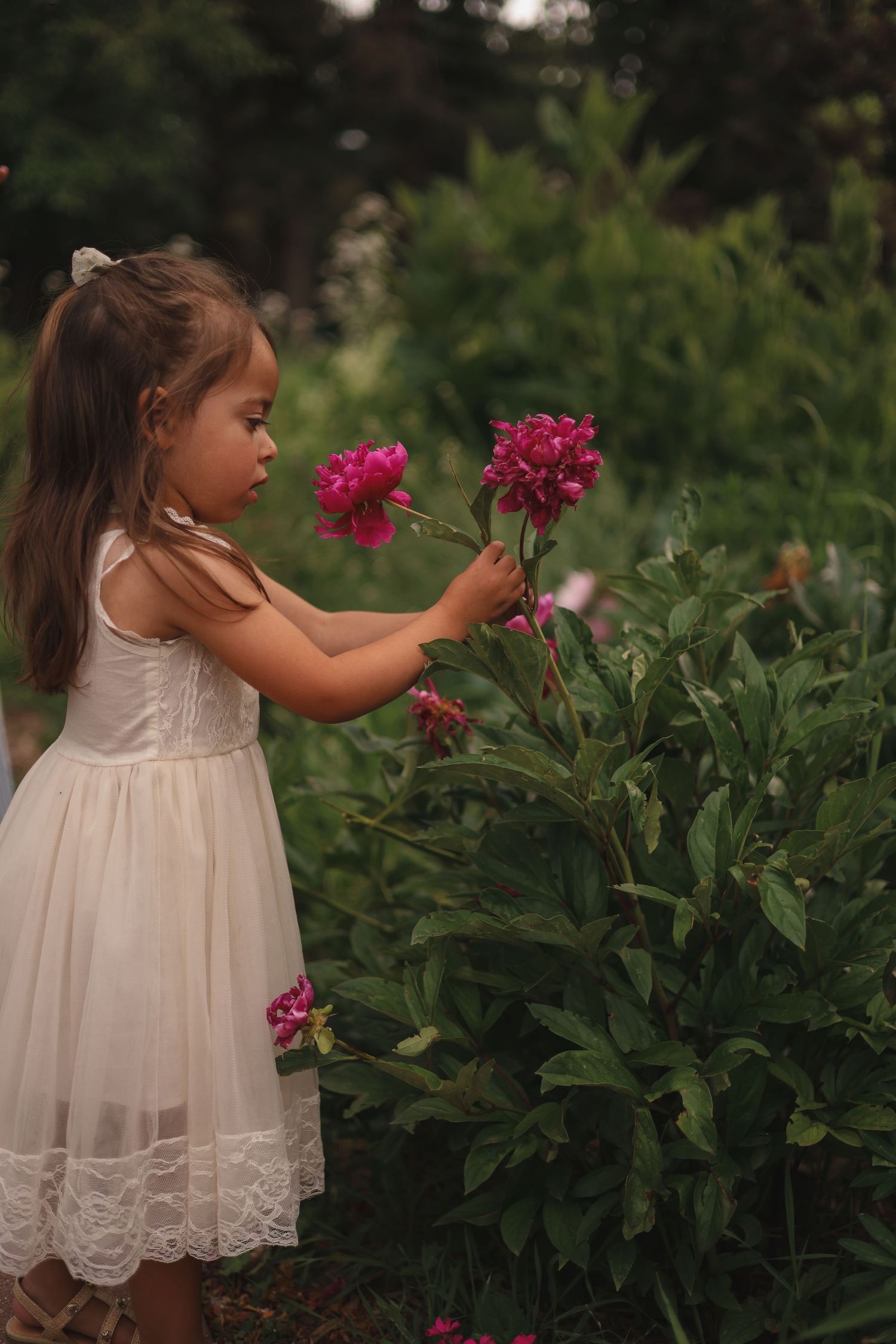 daughter flowers