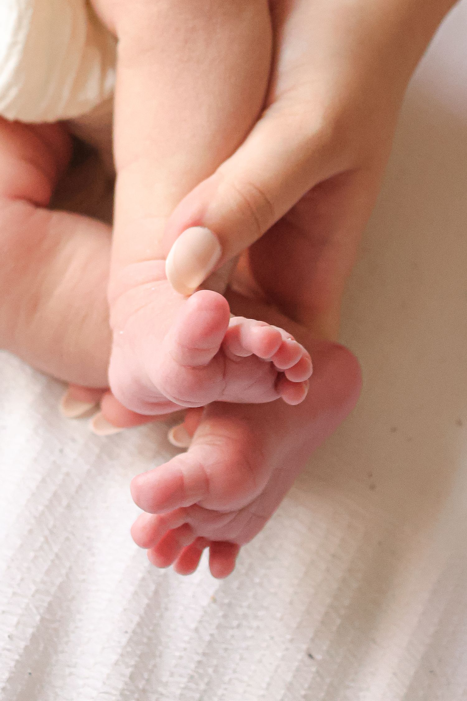newborn photos family