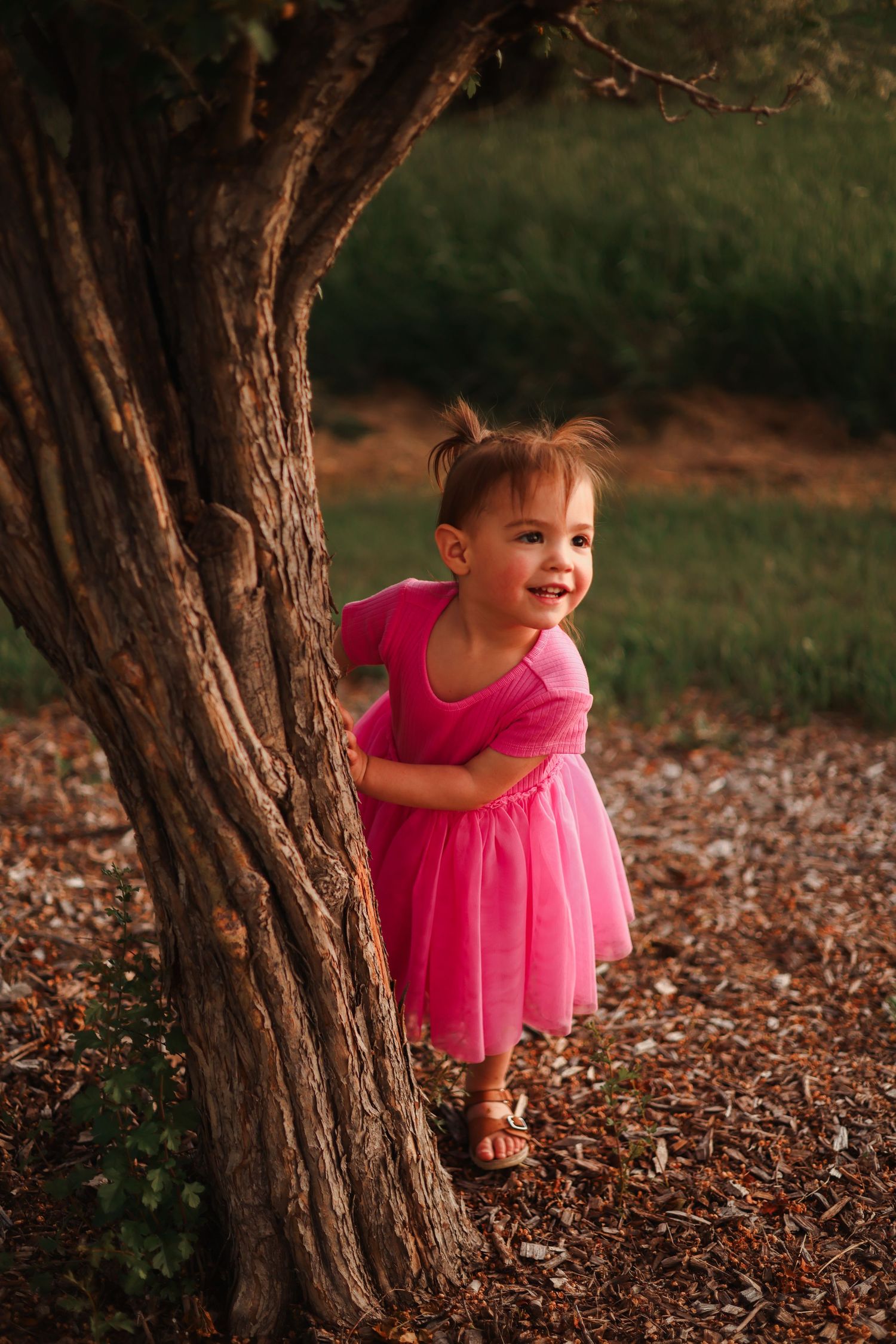 daughter tree sunset