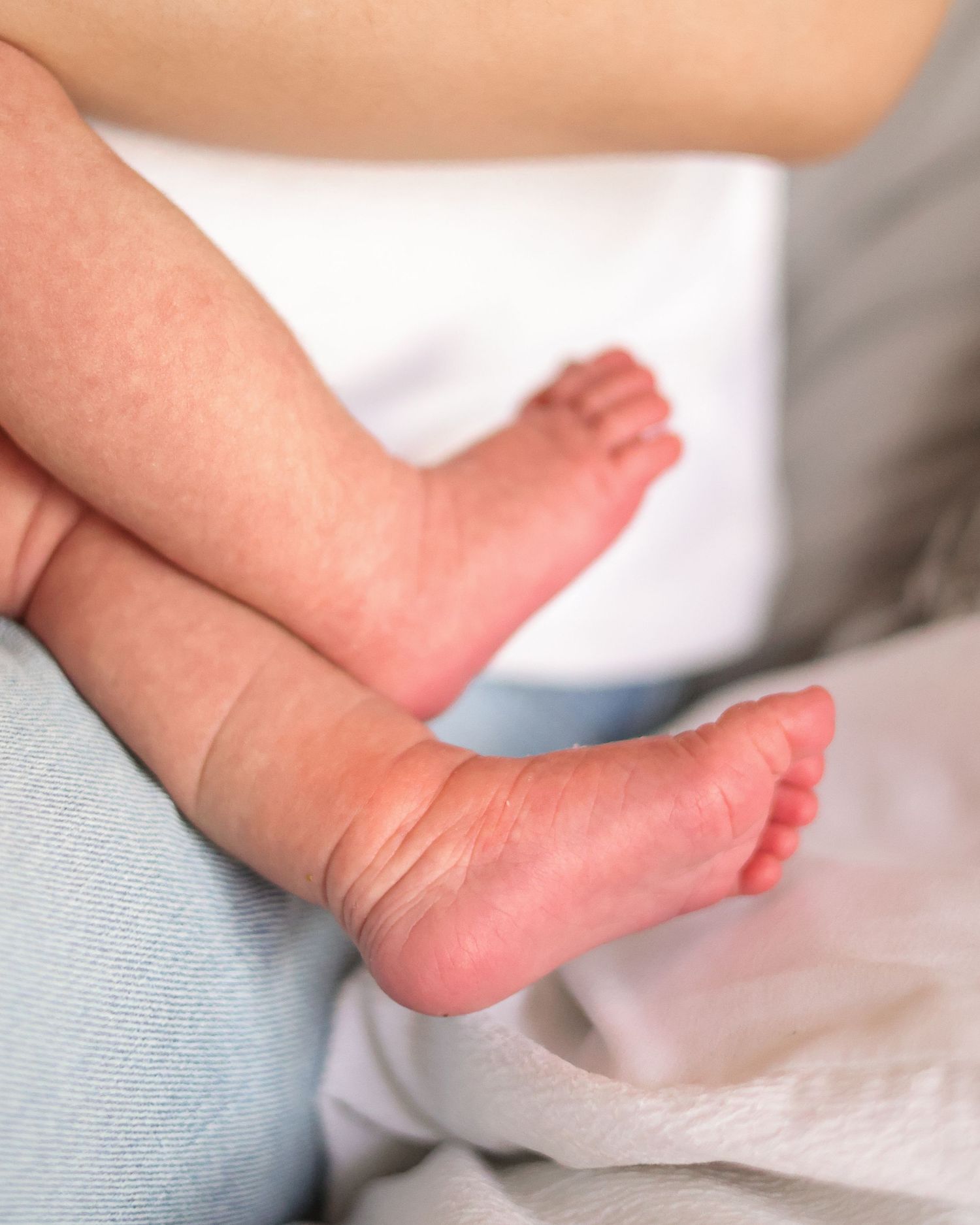 newborn photos family